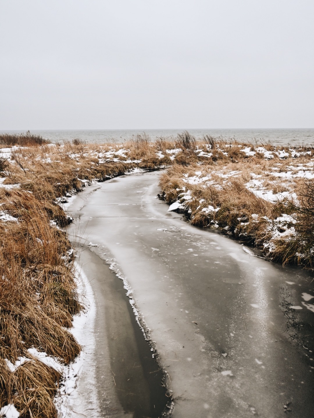 🐚
Was für ein langer, wunderschöner, fordernder Winter.
Ich tauche tief ein in die Begleitung wundervoller Frauen und gleichzeitig bewege ich mich selbst durch intensive innere Prozesse. Manchmal frage ich mich, wie beides zusammengehen kann. Aber ich weiß: Es geht. Sehr gut sogar. Und manchmal braucht es auch genau beides.
Alles, was ich fühle, jede Narbe, jeder Schritt macht mich weicher, offener und nahbarer. Ich weiß, ich könnte auch in die Härte gehen, neue Mauern bauen, die nicht notwendig sind, mich schützen… Doch diesen Weg wähle ich bewusst nicht. Ich möchte offen bleiben. Mich bewegen. Alles spüren. Denn genau das macht mich empathisch und empfänglich…
Seit meiner Teenagerzeit schreibe ich immer wieder Gedichte. Worte finden mich meist dann, wenn etwas in mir gesehen werden will. Auch gestern am Meer, erneut verbunden mit Laguz, floss eines durch mich hindurch. Ich habe hingeschaut, gefühlt und fließen lassen.
Danke, dass ihr hier seid.
Lieb zu euch 🤍
Kaja 🪶
.
.
.
I N B E T W E E N S T A T E S
Ice-cold wind on my face,
and in my heart.
I walk through the winter-white.
Steps crunch over broken shells.
Memories sleep beneath thin ice.
I see you… like behind shards, far away.
I wait.
And yet I know I will move on.
It grows too cold.
Fingers numb.
Breath harsh and brittle.
A flicker of warmth shoots through me.
A soft heartbeat felt in the frost,
like distant drums.
I walk.
On.
Into
this new state.
.
.
.
📷 ‚Winterreise lll‘