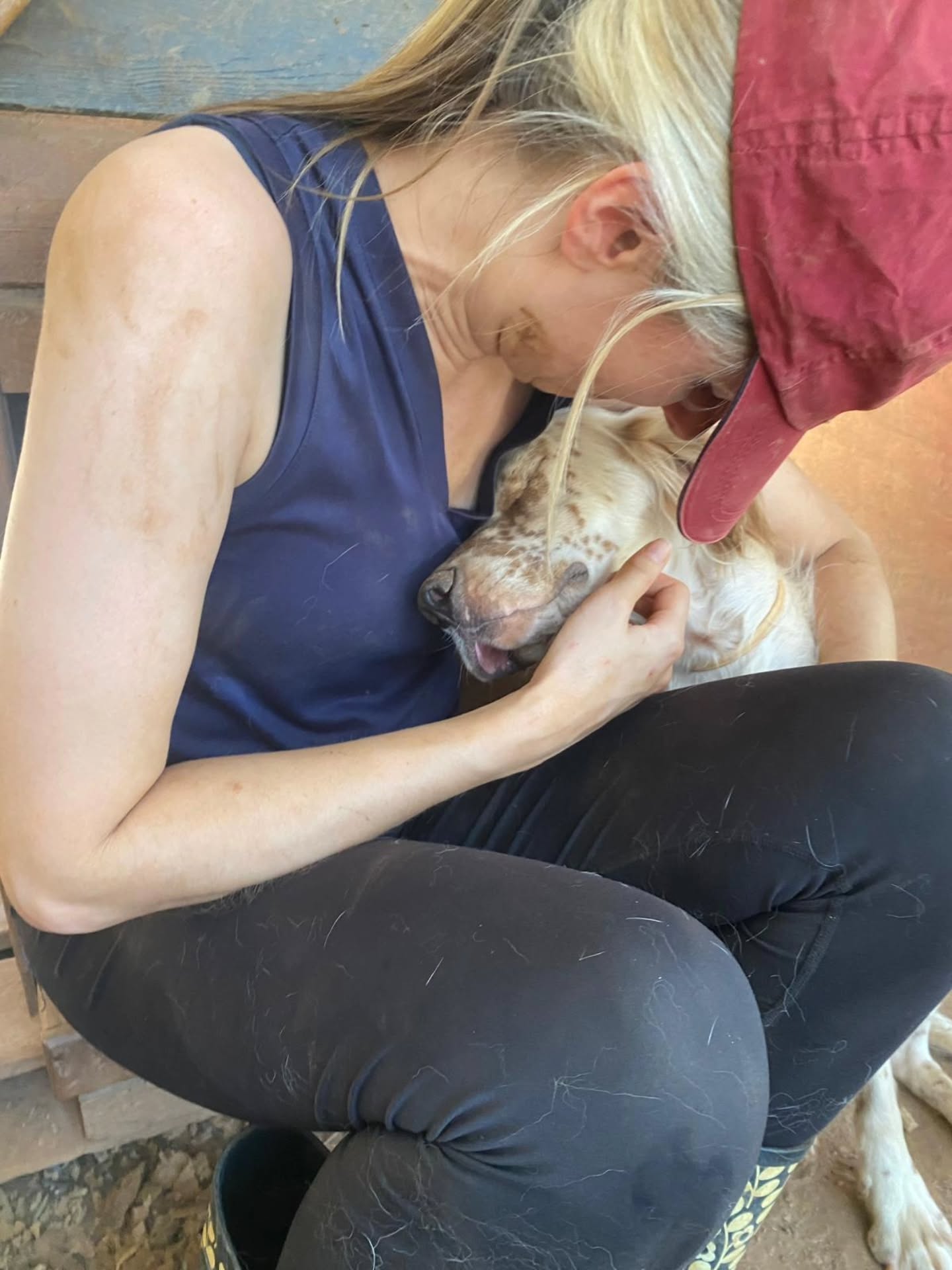 We're so excited to share with you that Mr Cuddles has been adopted and will move to the UK soon!
If ever there was a dog that deserved a home of his own, it's Mr Cuddles! Despite being abandoned in the government shelter, where he got sick and lost so much weight he was absolutely skeletal when we rescued him, he never lost his faith in, and love for, people. Even when he was so terribly underweight, getting cuddles was more important to him than eating! Nothing makes Mr Cuddles happier, or more peaceful, than being with people, and we're so happy for him that he finally gets to have a loving family ❤
Thank you to Animal Friends of Turkey for helping to make this possible for him!