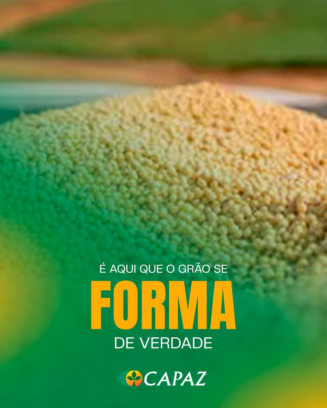 O enchimento do grão não acontece por acaso, ele é construído no momento certo do ciclo 🌱
No início do reprodutivo (R1), a soja muda o foco: tudo o que foi produzido até ali começa a ser direcionado para dentro da vagem. Açúcares, amidos e proteínas passam a definir o peso e a qualidade do grão.
É nessa fase sensível que o Sais 06.12.40 faz a diferença, favorecendo a translocação de energia e garantindo grãos mais cheios, com mais massa e maior potencial produtivo.
Quem entende o ciclo, aplica com estratégia.
Fale com um consultor da CAPAZ e potencialize o enchimento de grão com inteligência.
#enchimentodegraos #nutricaovegetal #produtividade #manejointeligente #pms