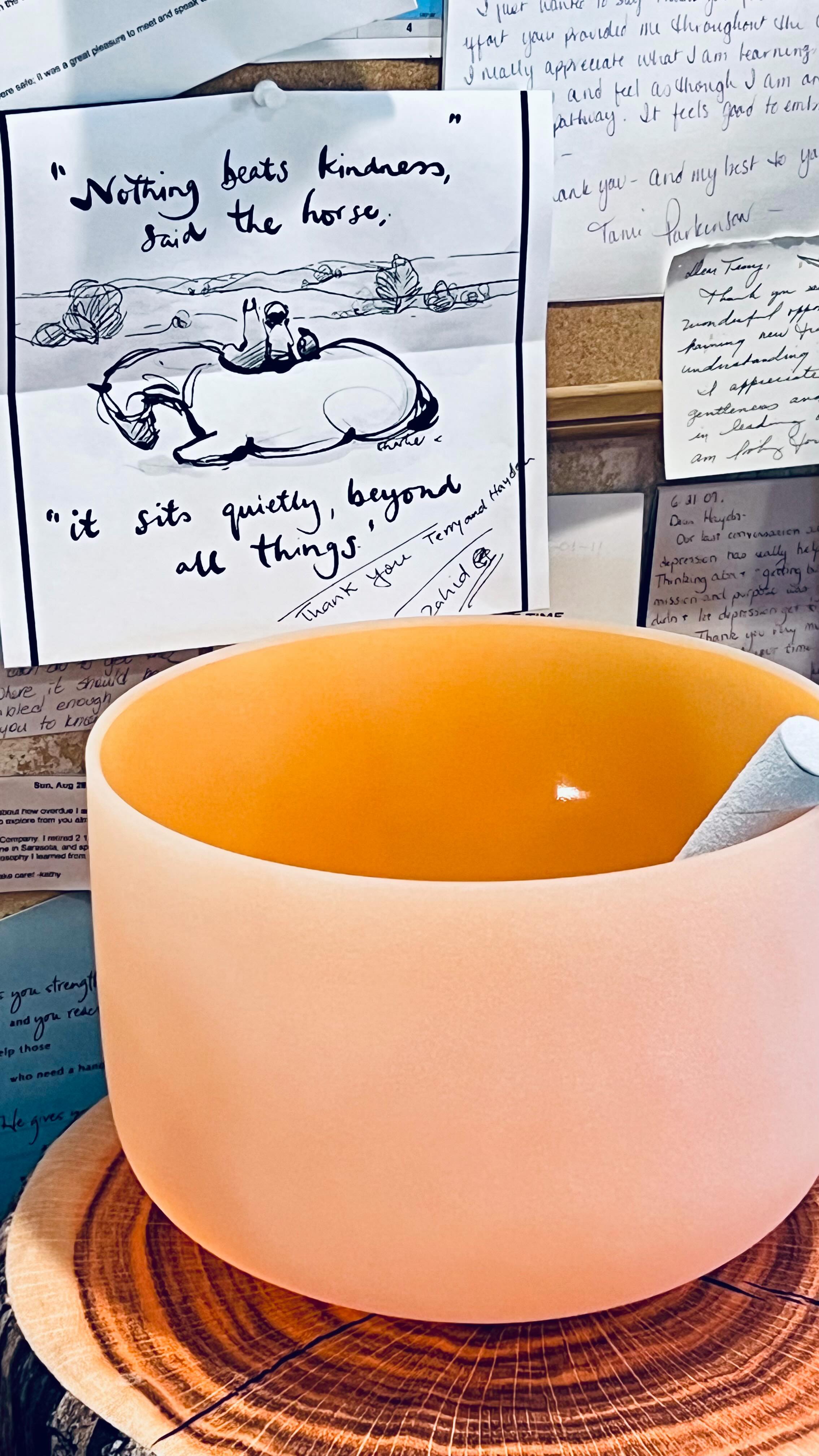 🎶My Musical Retreat to Asheville, North Carolina, to become a Certified Vibrational Sound Healing Provider, was one of the most rewarding experiences of my life!
✅ Certification completed!
🧘🏻♀️LIVE Vibrational Sound Healing as an Art & Science is now infused into my Guided Meditation Sessions, with or without the movement aspect of yoga, asana!
🌲Also available On-Demand at TheGuestBungalow.com within our Special Needs Yoga Room!
🔗Link in bio to learn more and consider scheduling your private sound healing session!
✌️♥️🙏🙇♀️
#soundhealer #soundtherapy #energyhealing #vibrationhealing #meditationmusic