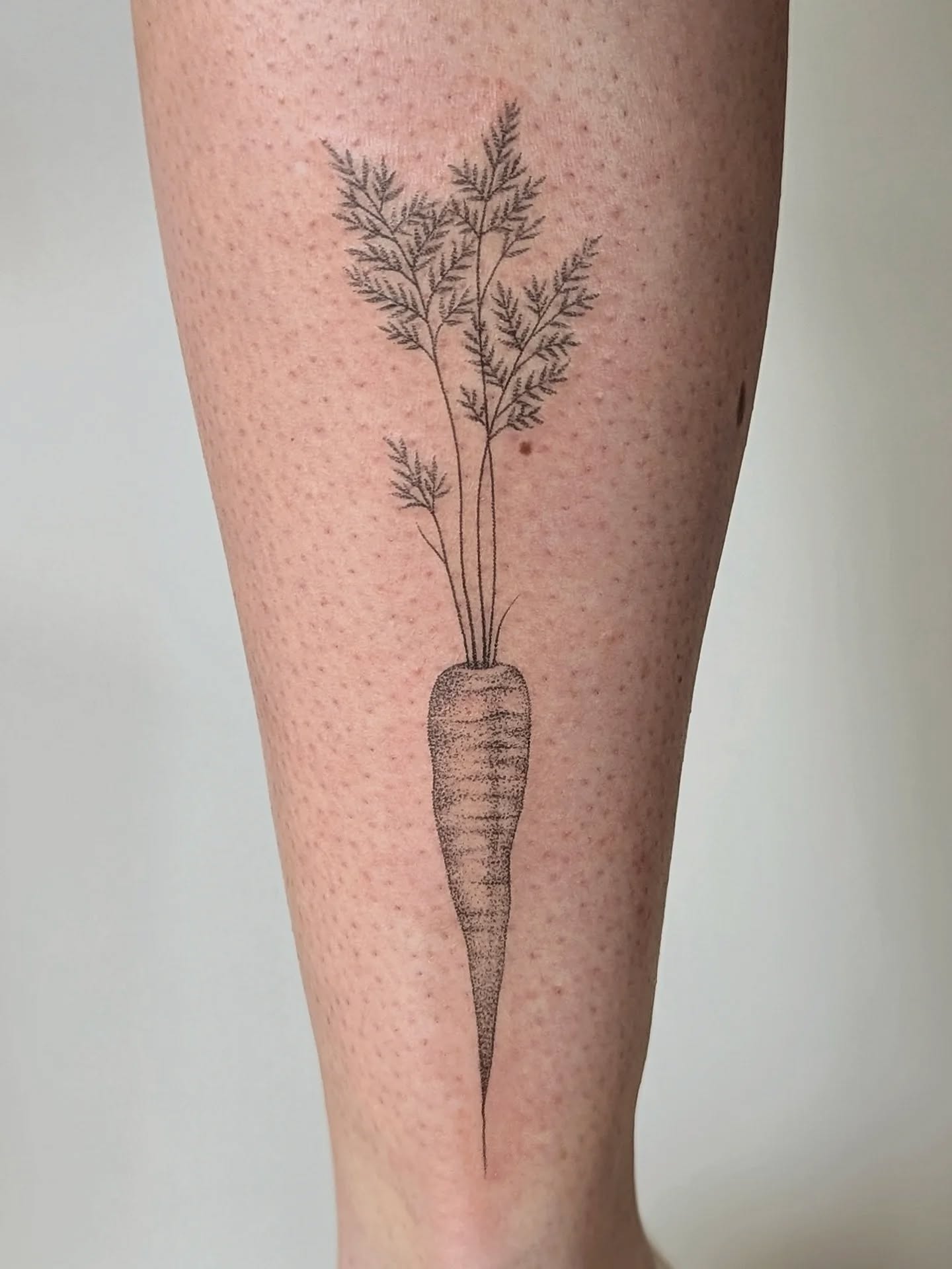 227 miles. That's how far Amelia drove for her handpoked carrot tattoo - a cross between a previous flash design I had and one of her homegrown beauties!
Thank you so much for trusting me again and making the epic journey Amelia. 🤗 The fact that people make these journeys honestly blows my mind every time.
I'd really love to tattoo more veggies - tomatoes, radishes, peas, bring it on 🌱 What would be your veg tattoo of choice? A wonky aubergine maybe? 😆
_______
𝗕𝗼𝗼𝗸𝗶𝗻𝗴𝘀 𝗼𝗽𝗲𝗻 𝘃𝗶𝗮 𝗹𝗶𝗻𝗸 𝗶𝗻 𝗯𝗶𝗼!
📍 My cosy village garden studio near Bedford
🗓️ Appointments Weds-Fri, 10am starts (Happy to juggle weekdays around if Weds-Fri isn't possible for you though)
Been channelling my inner slug lately - hiding from Instagram, shit at marketing, the whole thing 🐌 But I'm crawling back out now and there's ⚡ loads of availability through to mid-July ✨