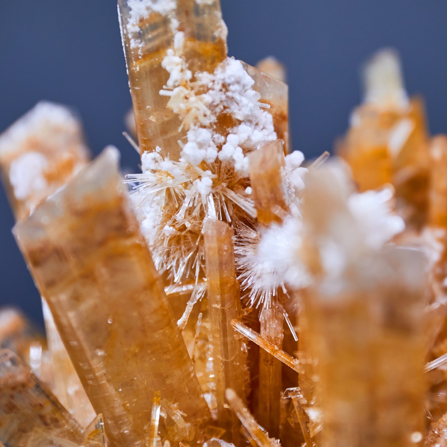 MINERAL MONDAY ✦ SELENITE
Selenite is a crystalline variety of gypsum, known for its transparency and delicate, blade-like crystal structure.
This specimen originates from Mexico, where selenite formed under stable geological conditions through the slow evaporation of mineral-rich water. In certain regions, crystals reached monumental dimensions - growing over hundreds of thousands of years in environments defined by heat, humidity, and time.
Despite its size in nature, selenite remains a soft and sensitive mineral. Its clarity and structure reveal a quiet balance between strength and fragility.
In our in-house mineral museum, selected specimens can be explored up close - offering insight into their geological origin while simply allowing space for observation.
Selected minerals are also available in our online shop.
👉 link in bio: https://shop.mineralienhotel.com.
#mineralmonday #mineralmoments #mineralienhotel #mineralhotel #boutiquehotel #minerals #mineralsforsale #mineralspecimen #selenite #selenitecrystal #mineralmuseum
