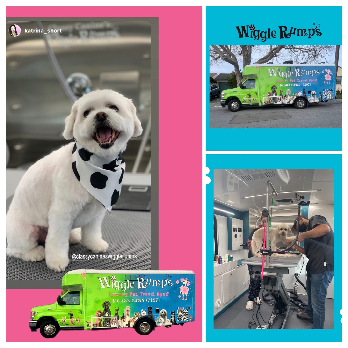 Luxury grooming delivered to your doorstep.
Private, professional mobile grooming by Wiggle Rumps. No travel. No waiting. Exceptional care in a calm, one-on-one environment.
Call 510-583-PAWS
www.wigglerumps.com
www.wigglerumpsretail.com