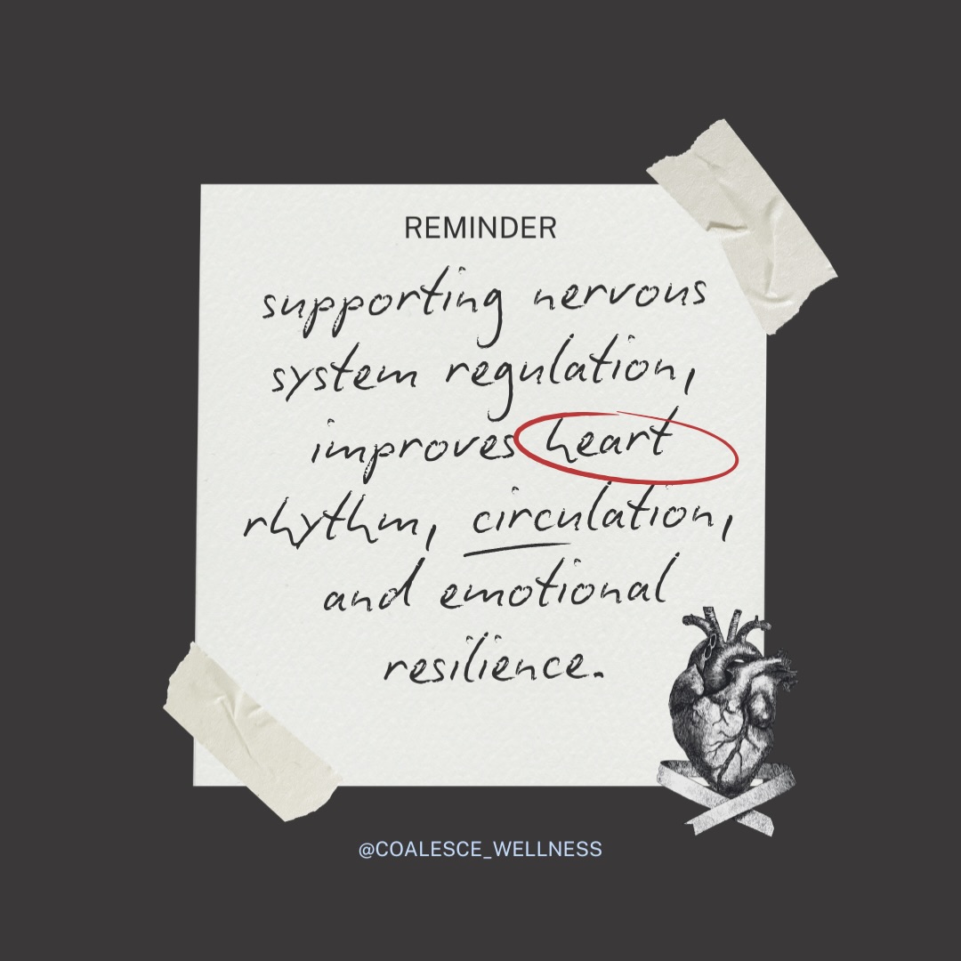 🫀 A regulated nervous system is one of the most heart-protective tools we have.
The heart is deeply influenced by the autonomic nervous system. Spinal Flow helps shift the body from sympathetic (fight-or-flight) into parasympathetic (rest-and-restore) by creating safety signals through the spinal cord.
