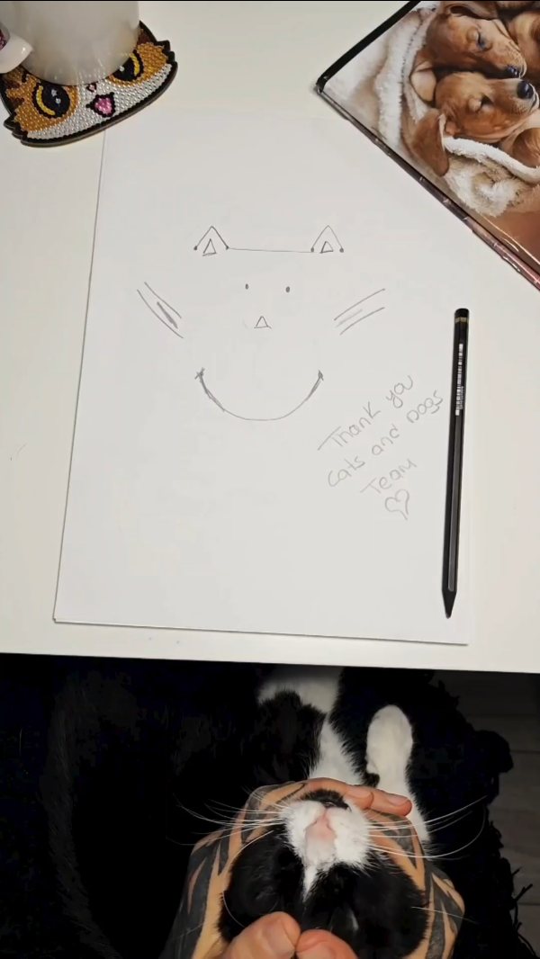 A Slightly Late New Year Thank You — With Lots of Love
As we step into the new year, we wanted to take a moment to say THANK YOU — even if it comes a little later than usual.
December and January were a very full and busy holiday season for us, and that is entirely thanks to your continued trust and support. Being able to care for your pets, your homes, and your furry family members year after year truly means the world to us.
As we move forward into this new year, our promise remains the same: to continue providing the same high-quality, loving, and reliable pet care that you and your pets deserve.
Thank you again for being part of our journey and for allowing us to be part of your pets’ lives. We’re truly grateful and excited for what the year ahead will bring.
Warm wishes for a happy, healthy, and pet-filled year ahead,
Cats, Dogs and Love Team