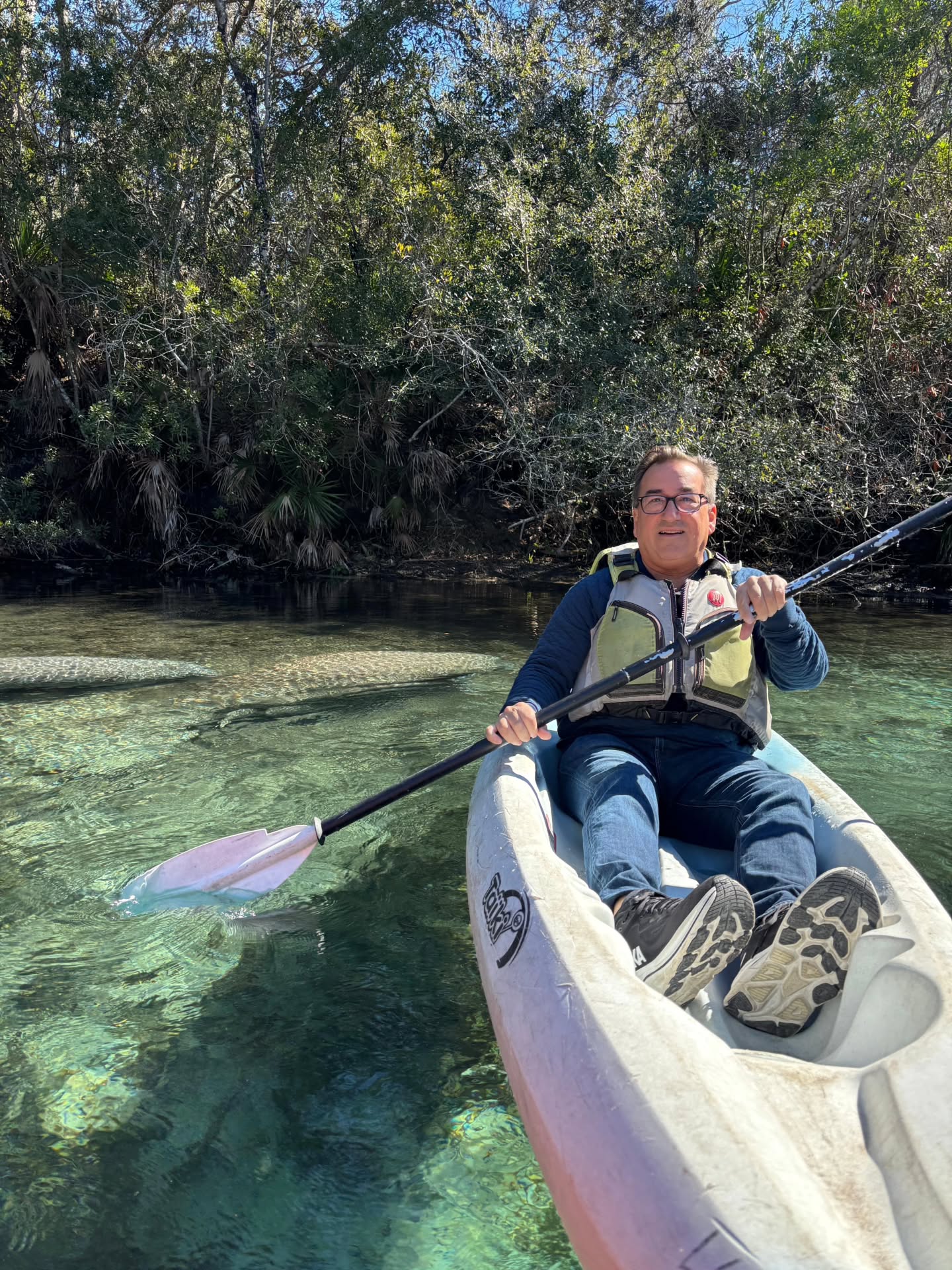 I discovered a great river in Florida, with Manatees. I've never seen such a pristine river anywhere in the world.