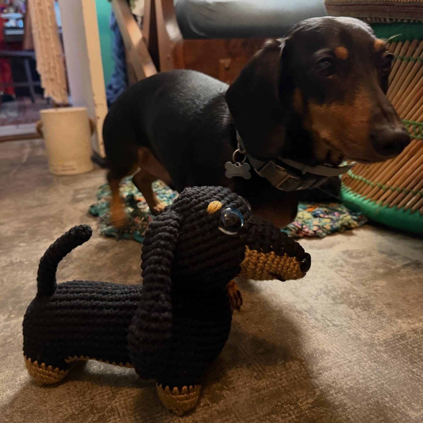 New amigurumi….pattern for Coco the Basset Hound is from @whencraftingislife I got the dachshund pattern from a kit a while back. #dachshundcrochet @tamaramkahn Ziggy and Elwood 🤗 coming to London 🔜 💌