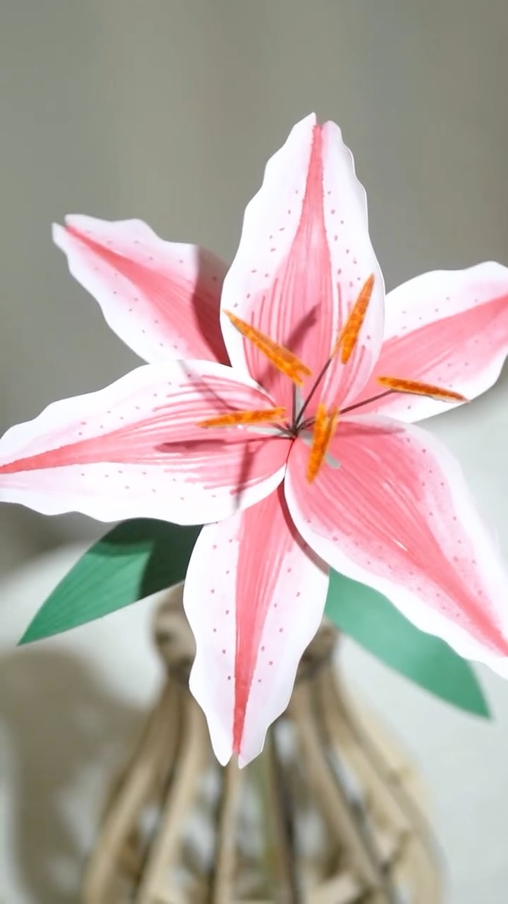 Make a paper lily with me using my @xtool.official M1 ultra. Used the cutting blade and pen function + paired it with the wooden vase we made from the previous video.
💘 xTool Valentine’s Day Sale 💘
xTool is offering up to $2,658 OFF—check it out now!
(Link in bio)
#xtool #xtoolm1ultra #paperflowers