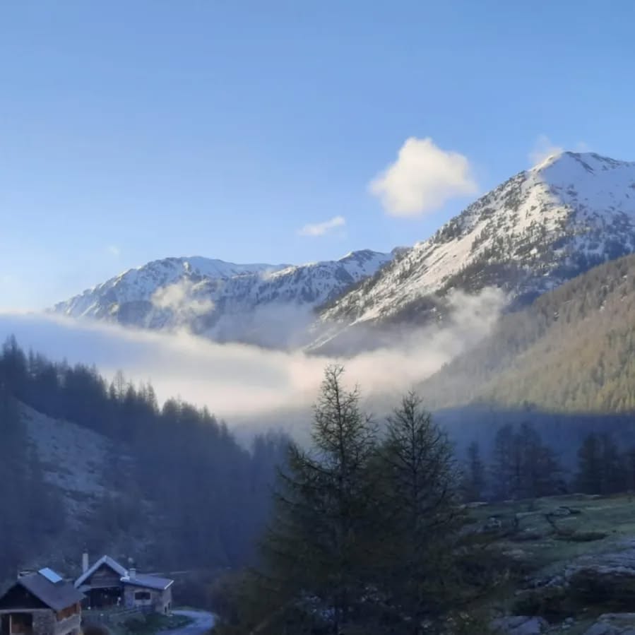 🦋 Passage schepte een fantastisch therapeutisch kader waar mensen konden toekomen, houvast vonden, oefenden en groeiden.
Een Passagetocht door de ogen van medetherapeute Kristien Rochette. Bedankt om deze magische ervaring zo mooi onder woorden te brengen. 🙏
"Soms zijn er zo van die momenten in het leven dat je voelt dat er iets is veranderd. Zo’n moment waarvan je voelt dat het je ziel raakte, diep vanbinnen. Ik weet niet zo goed hoe je dit moet noemen…
Een moment waarop je voelt dat de stroom van je innerlijke wereld wat van ritme is veranderd, een bocht heeft genomen, een zijsprongetje maakte, … Het maakt niet zo veel uit welke naam zo’n moment krijgt, het is de ERVARING die telt. Ik vermoed dat velen onder jullie dit misschien herkennen. De deelnemers van de laatste PASSAGETOCHT herkennen het zeker en vast.
Eind mei vertrokken we op tocht, letterlijk en figuurlijk. Vanuit België naar Briançon in de Franse Zuidalpen en van daar naar de bergchalet, die gedurende acht dagen onze thuis werd. Stap voor stap bewandelde elke deelnemer een eigen pad. Soms alleen, soms in groep, soms met ondersteuning van Karlien of mezelf, maar steeds met het respect en de veiligheid van de groep als ruggensteun. Zes fantastische mensen, elk met hun persoonlijk verlangen naar groei. Soms kwetsbaar en fragiel. Vaak moedig en sterk.
Passage schepte voor hen een fantastisch therapeutisch kader waar mensen konden toekomen, hun tempo zochten, houvast vonden, oefenden en groeiden. Op de Passagetocht werden de connecties tussen MENS EN NATUUR terug aangewakkerd en opnieuw beter gevoeld. Onze natuurlijke connectie, die we in het dagelijks leven soms kwijt zijn. Het magnifieke decor van de besneeuwde bergtoppen, de ontlokkende lente met z’n bloemen en vogeltjes, de weersomstandigheden gaande van zon en hagel over regen en wind, allemaal waren ze onderdeel van het Passageproces dat zich voltrok bij de deelnemers.
Als co-therapeut kreeg ik de kans om dit alles mee vorm te geven, te ondersteunen en los te laten, te proeven en vooral ook vééél te leren. Oh ja, ook bij mezelf vond er een proces plaats. TRANSFORMEREN deden we dan ook een beetje met z’n allen.
*Lees verder in comments.