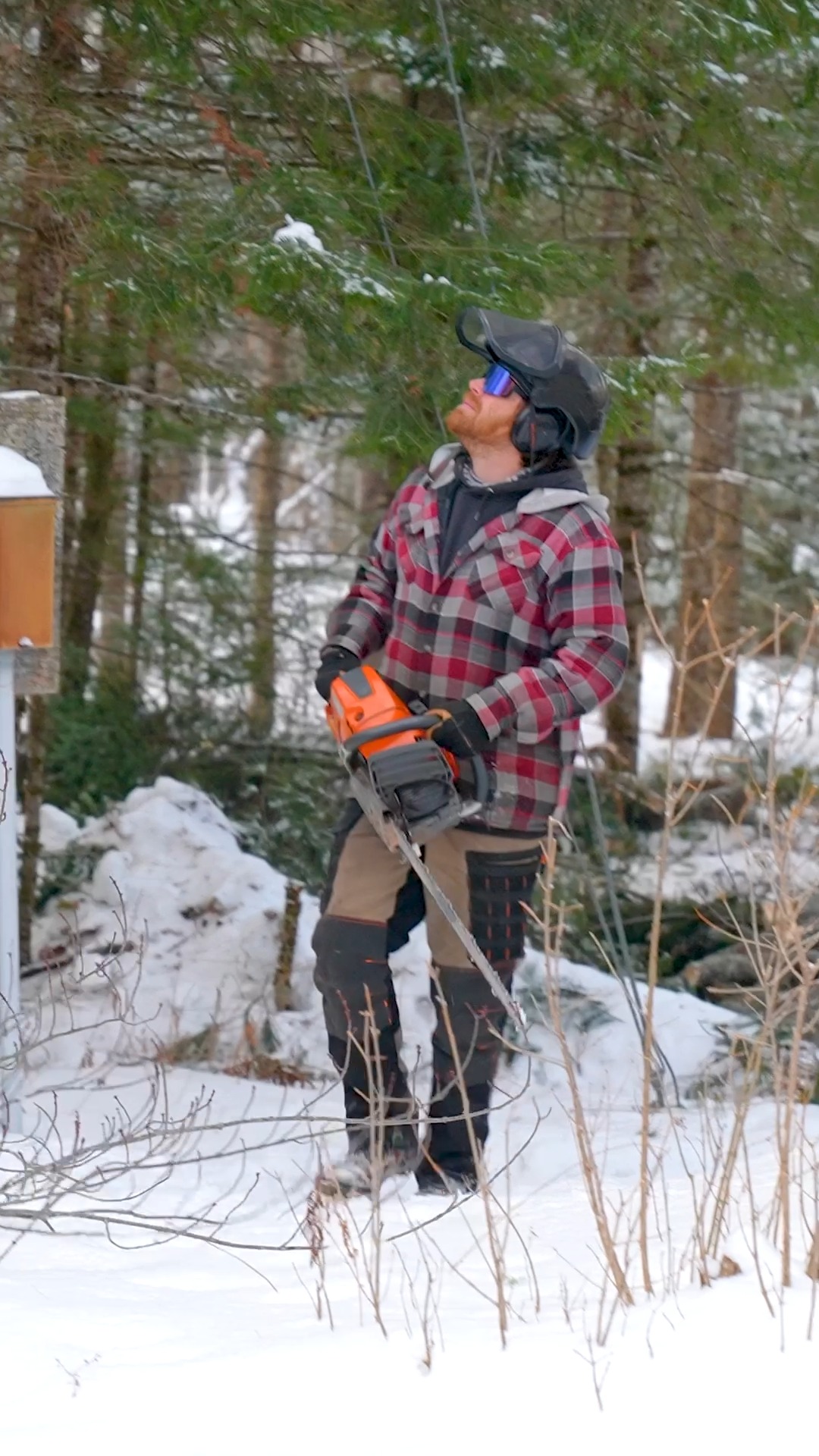 "Phil and his crew are professional and very skilled in thier craft. Removed two giant problem trees on my property. One only a couple feet from my back deck and overhanging my house. They also left my yard cleaner than it was before performing the job. You will not find a better value for the top notch service you will receive. I highly recommend." - just one of many reviews of our work