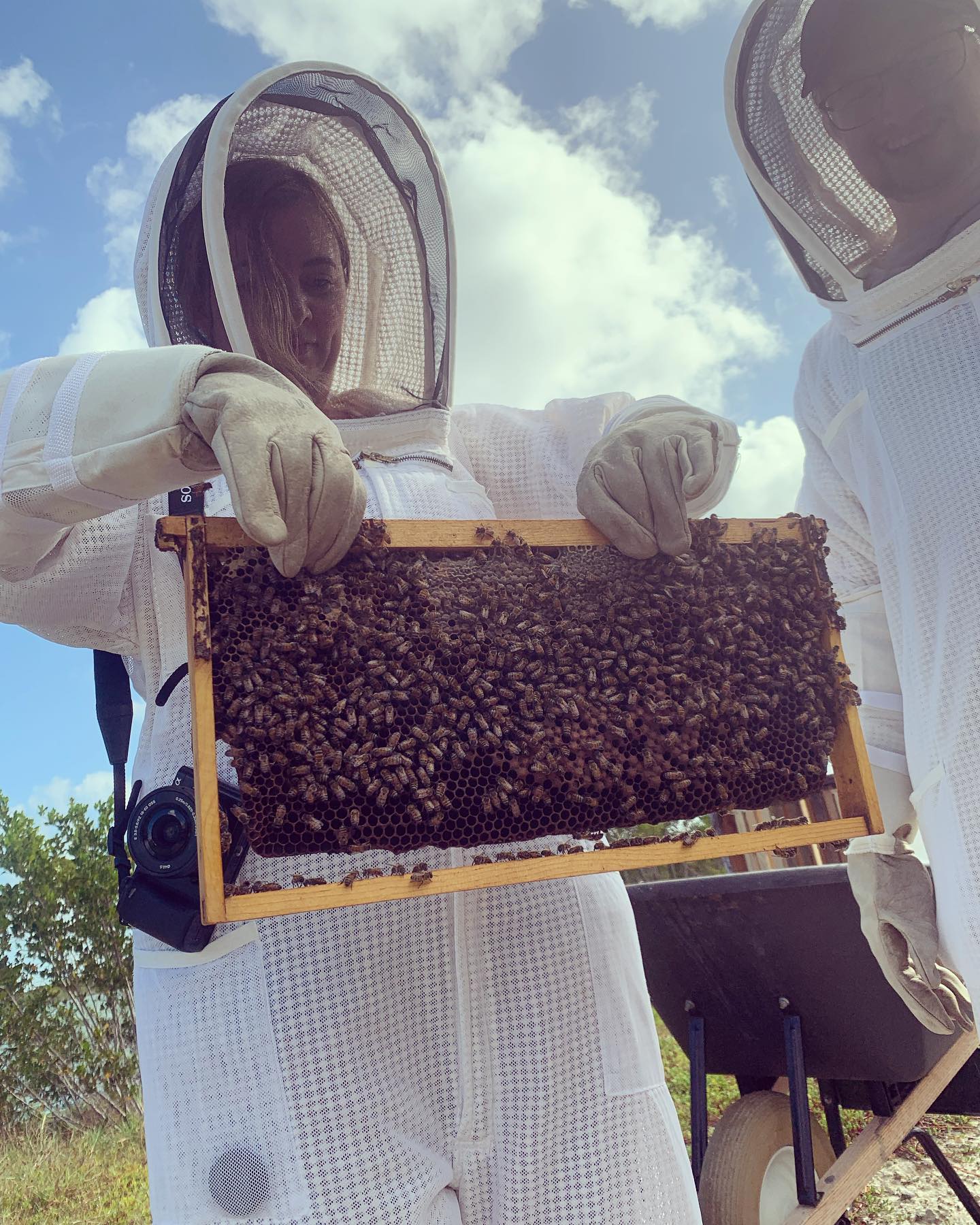 Morning Beekeeping Tour 🐝 🍯 #beekeeping #bees #beekeeper #honey #nature #experience #grandcayman #caymanislands