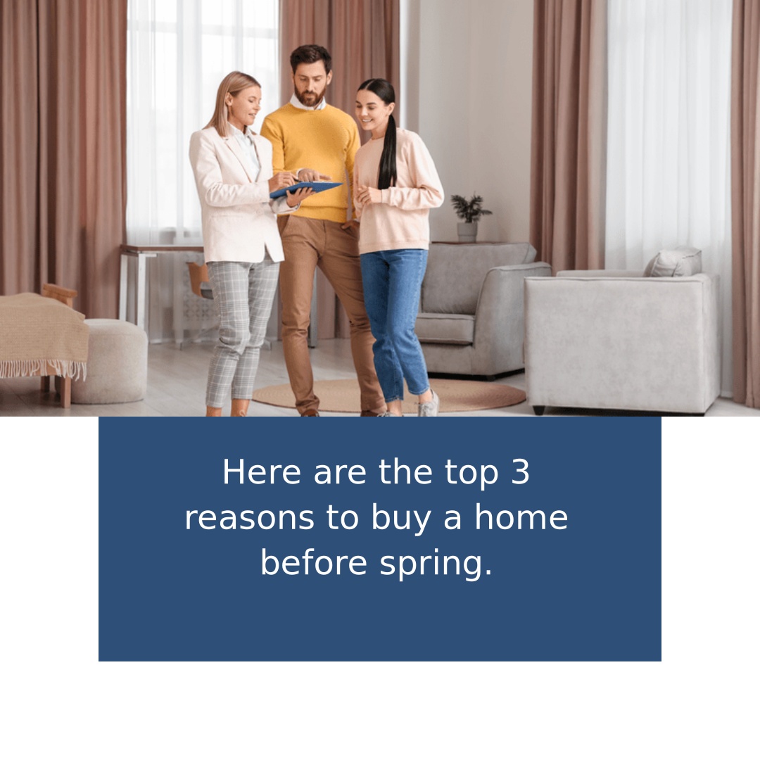 wolffrealestategroup