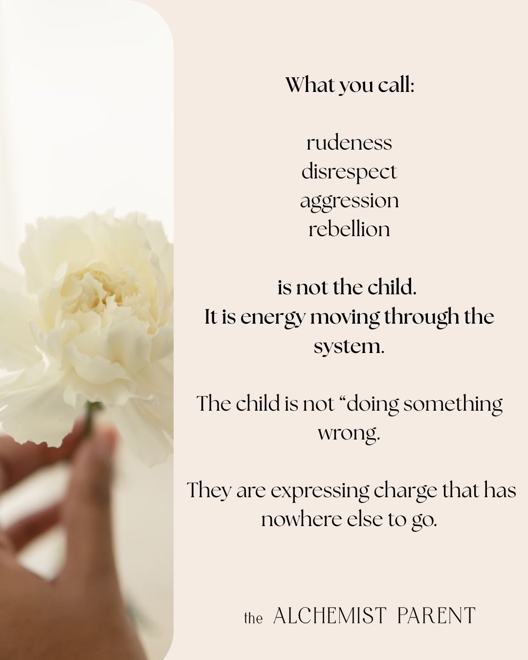 Your child is not their rebellion or defiance, that’s just energy moving through the system.
What does it mean to be that space (to hold or create space for the feeling/emotion/charge) - it means observing without judgment, not reacting from our own agenda, only then the energy can pass without being reinforced.
Teaching inspired by my teacher Eric Dowsett.