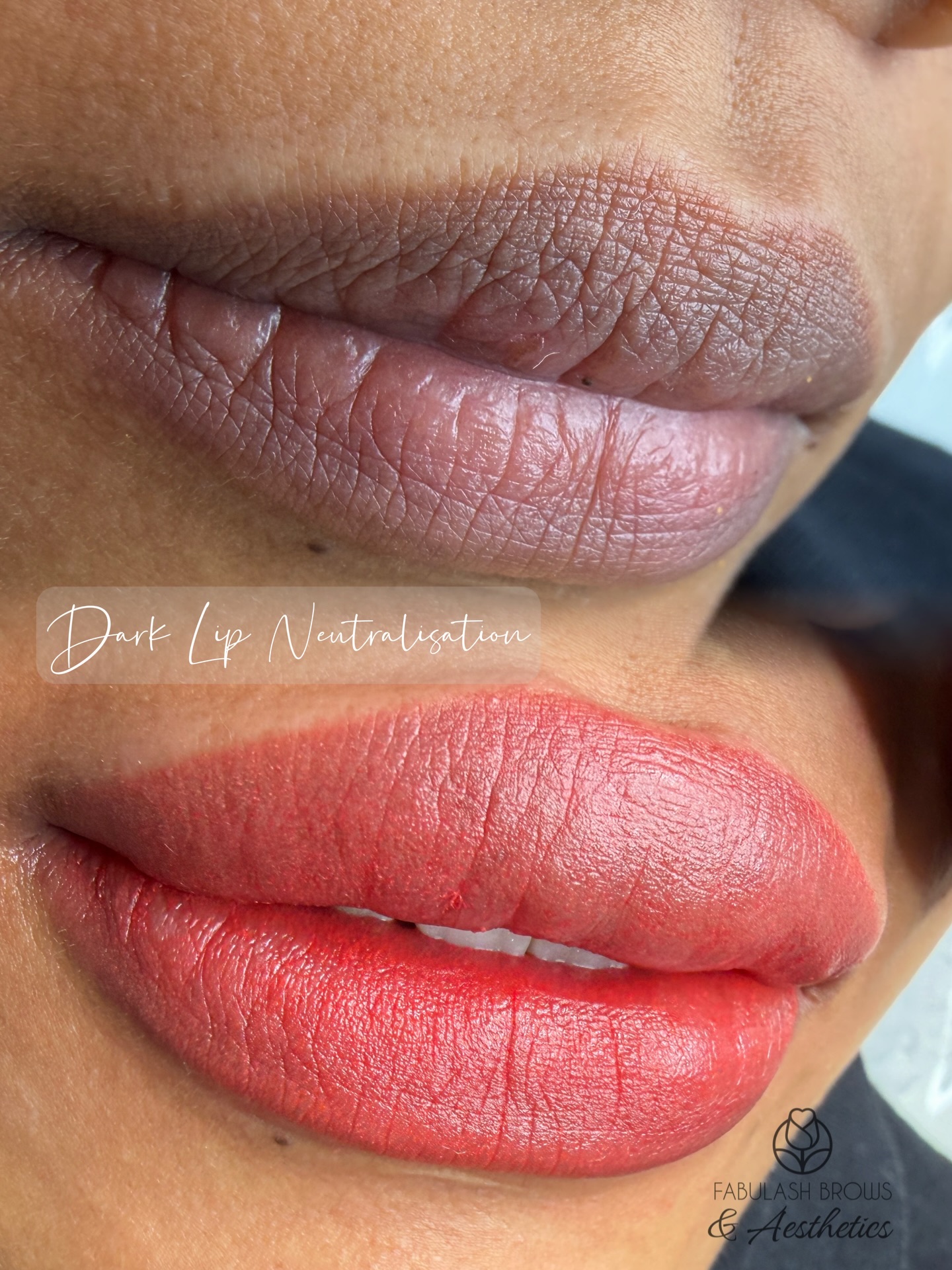 #darklipneutralization on the first day of Lunar New Year— the year of horse!