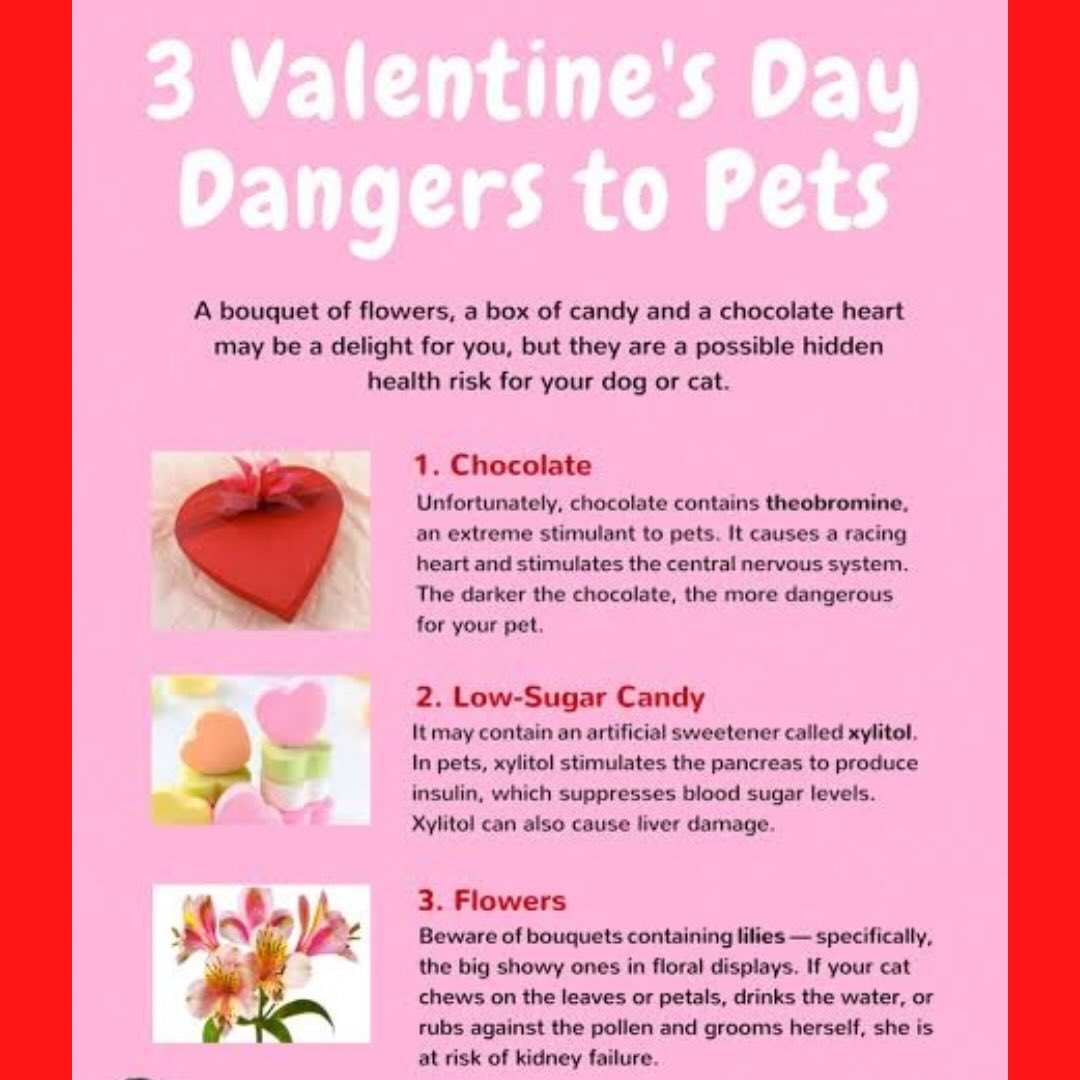 Be prepared for tomorrow celebrations. 🩷