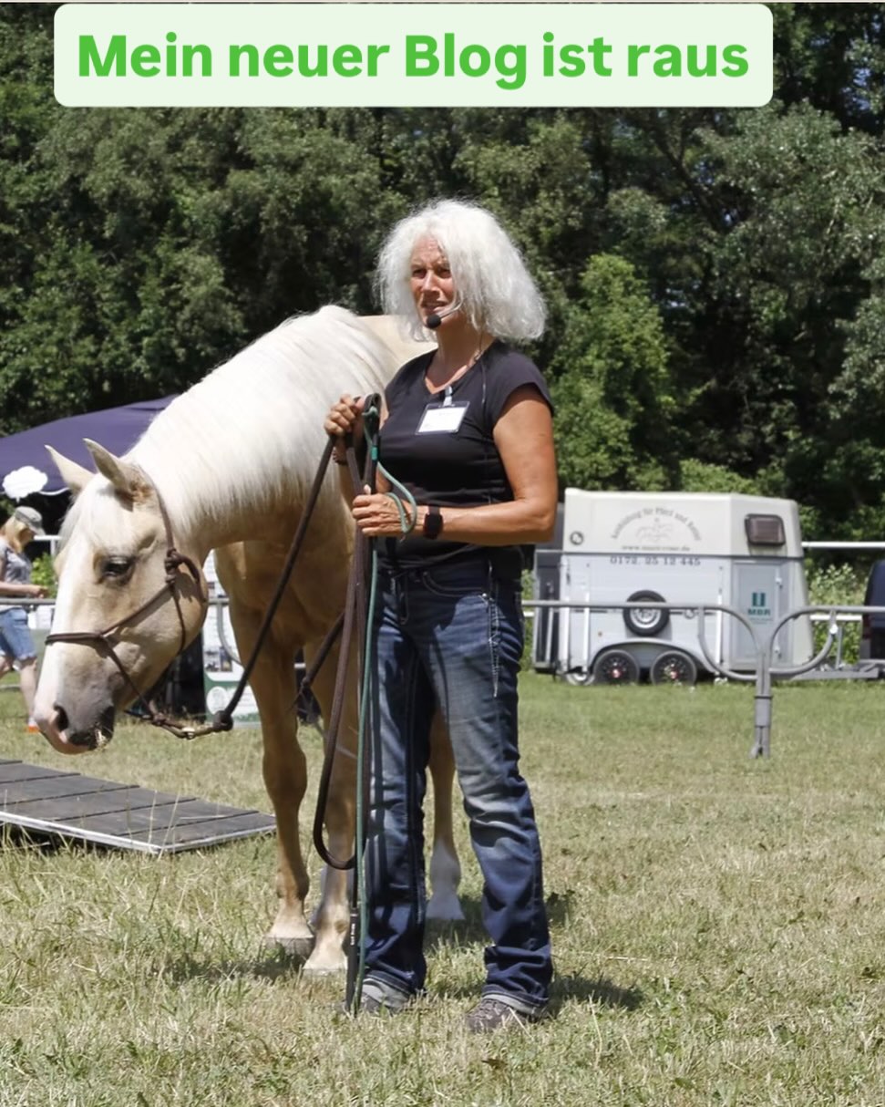 „Entspann dich mal, Mensch.“
Genau das hat mir mein Pferd Magic 🐴gestern gespiegelt 🪞
Ich wollte alles richtig machen.
Und war dabei innerlich zu angespannt.
Pferde hören nicht auf Worte.
Sie hören auf unsere Energie, unsere Atmung, unsere innere Ruhe.
Ein tiefer Atemzug.
Anspruch loslassen.
Und plötzlich war sie wieder da:
👉 echte Verbindung.
Was Magic mir in diesem Workshop gezeigt hat – und warum innere Ruhe wichtiger ist als Perfektion –
habe ich im Blog aufgeschrieben.
👉 Den ganzen Text findest du über den Link in meiner Bio.
Mit Herz
Deine Anja 💛
#pferdespiegel
#bodenarbeit
#verbindungstattperfektion
#pferdemensch
#achtsamkeitmitpferden
ehrlichepferdearbeit