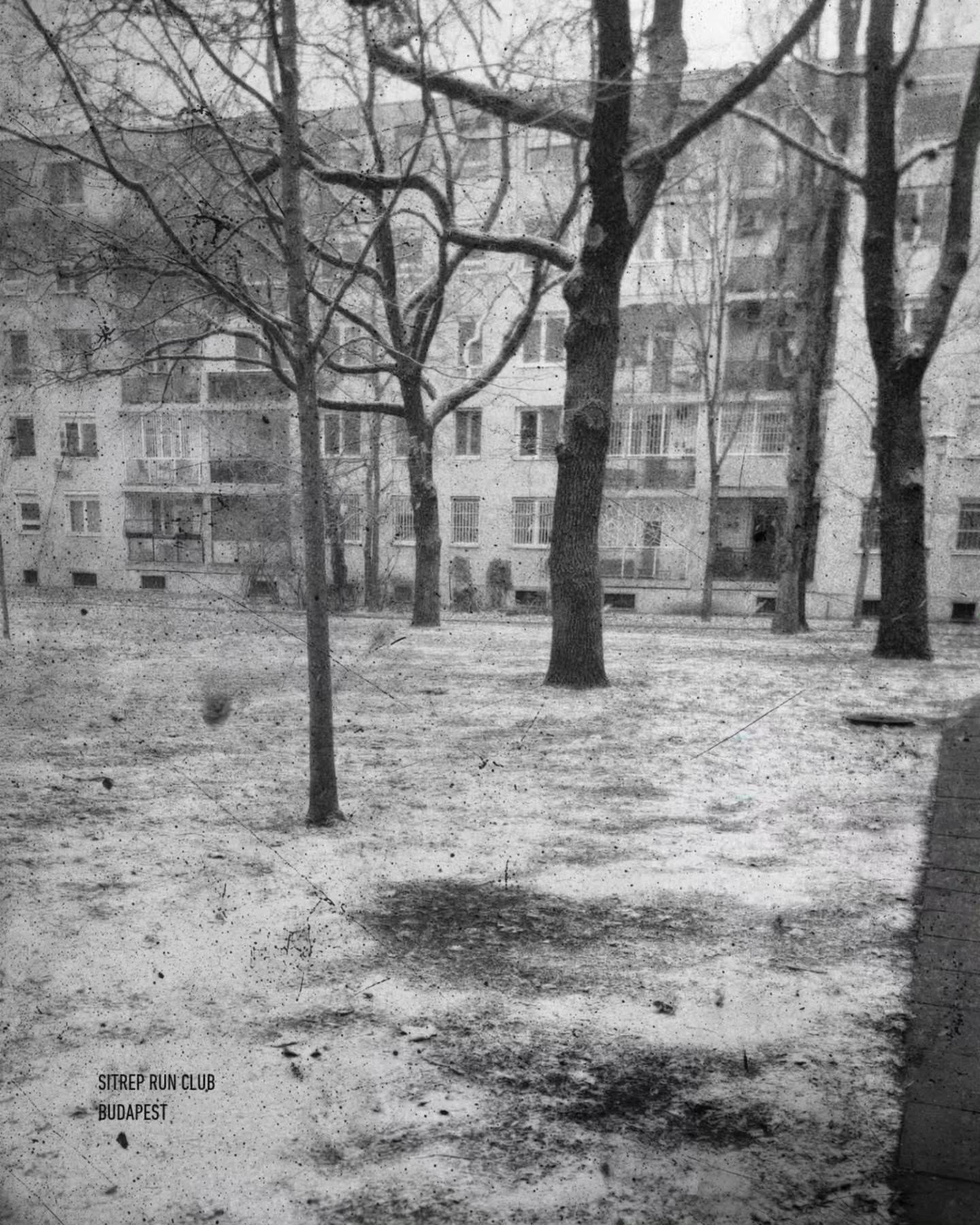 Snow days. Budapest.
×
#budapestrunning #sitreprunclub #blackandwhitephotography #urbanrunning #runclub