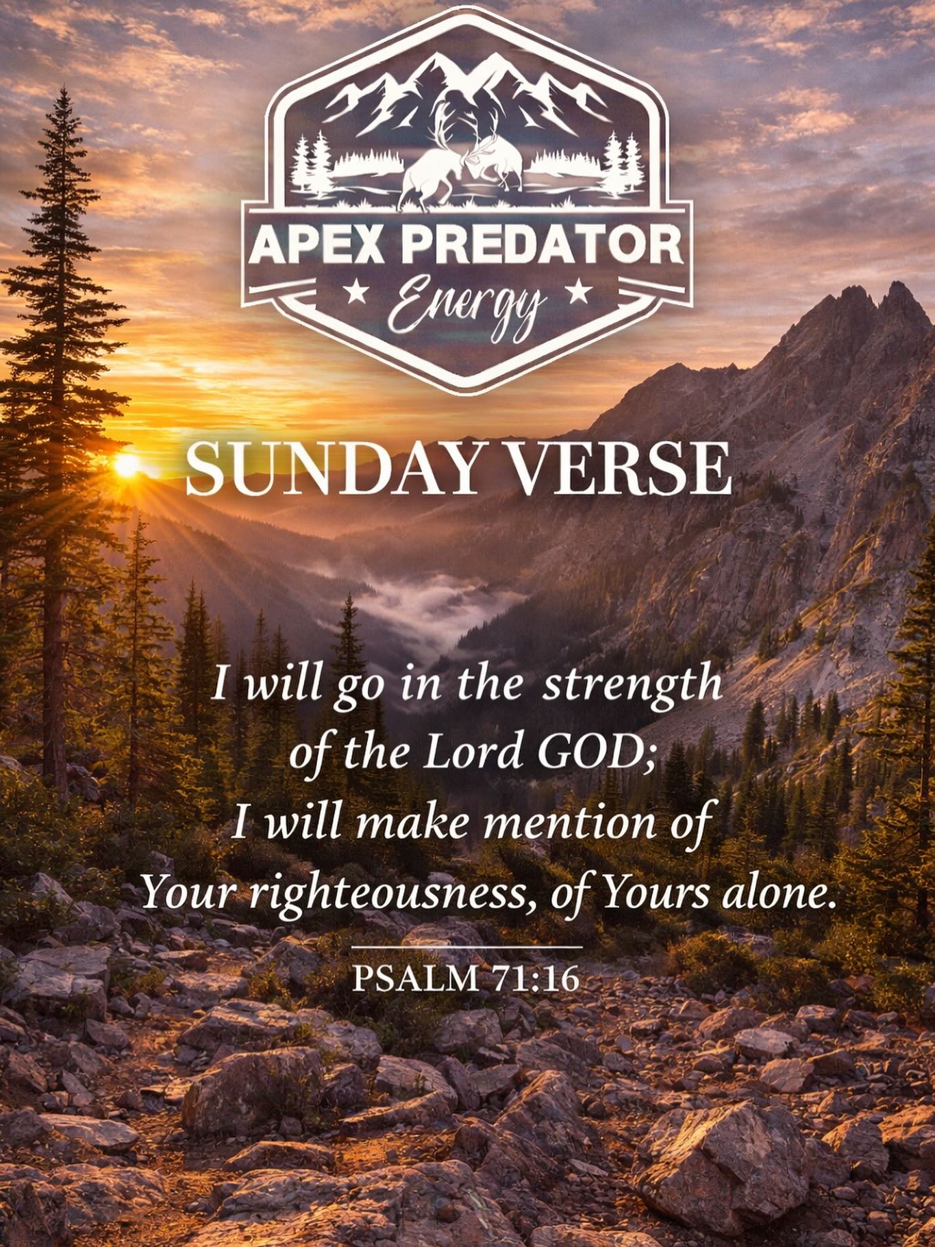 Moving forward in His strength.
#sundayverse #apexpredatorenergy