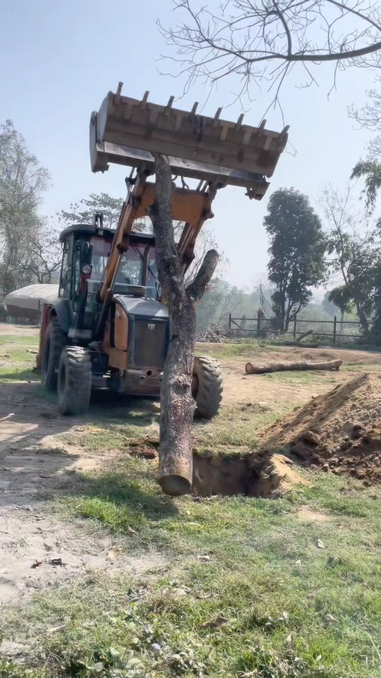 🇬🇧💪🐘 Teamwork behind every improvement
Installing enrichment for elephants is never a small task.
To set up 7 new wooden poles in the night enclosure—designed for scratching, pushing, destroying, and pure enjoyment—we needed more than 20 dedicated people working together.
From digging and lifting to securing and finishing, this was a true demonstration of collective effort, coordination, and commitment.
These poles may look simple, but they play an important role in the elephants’ physical comfort, mental stimulation, and natural behavior.
Huge respect and gratitude to the entire team.
This is what meaningful welfare work looks like. 🌿🐘
#TeamWork #ElephantWelfare #Enrichment #StandUp4Elephants #BehindTheScenes StrongerTogether
🇫🇷💪🐘 Derrière chaque amélioration, un vrai travail d’équipe
Installer des enrichissements pour les éléphants n’est jamais une tâche simple.
Pour mettre en place 7 nouveaux poteaux en bois dans l’enclos de nuit — conçus pour se gratter, pousser, détruire et simplement se faire plaisir — il a fallu la mobilisation de plus de 20 personnes.
Creuser, porter, fixer, sécuriser… chaque étape a demandé coordination, force et engagement.
Ces poteaux peuvent paraître simples, mais ils jouent un rôle essentiel pour le bien-être physique, la stimulation mentale et l’expression des comportements naturels des éléphants.
Un immense merci et un profond respect à toute l’équipe.
C’est aussi cela, le travail concret pour le bien-être animal. 🌿🐘
Video @daulphinne 🙏