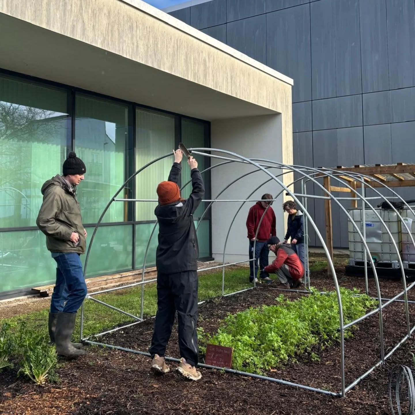 Beautiful 2 hours today up at the community garden.
We got onion sets, garlic, and broad beans sown. We also continued work.on our new brassica shelter.
A few rain showers didn't stop us, and what a brilliant way to get outside midweek 😍
The garden is there for everyone, check out our website for more info! We meet up the first Saturday of every month at 10am, plus fo adhoc sessions as and when.
All welcome, no forms to fill in, no experience needed!
#community #communitygarden #chippenham