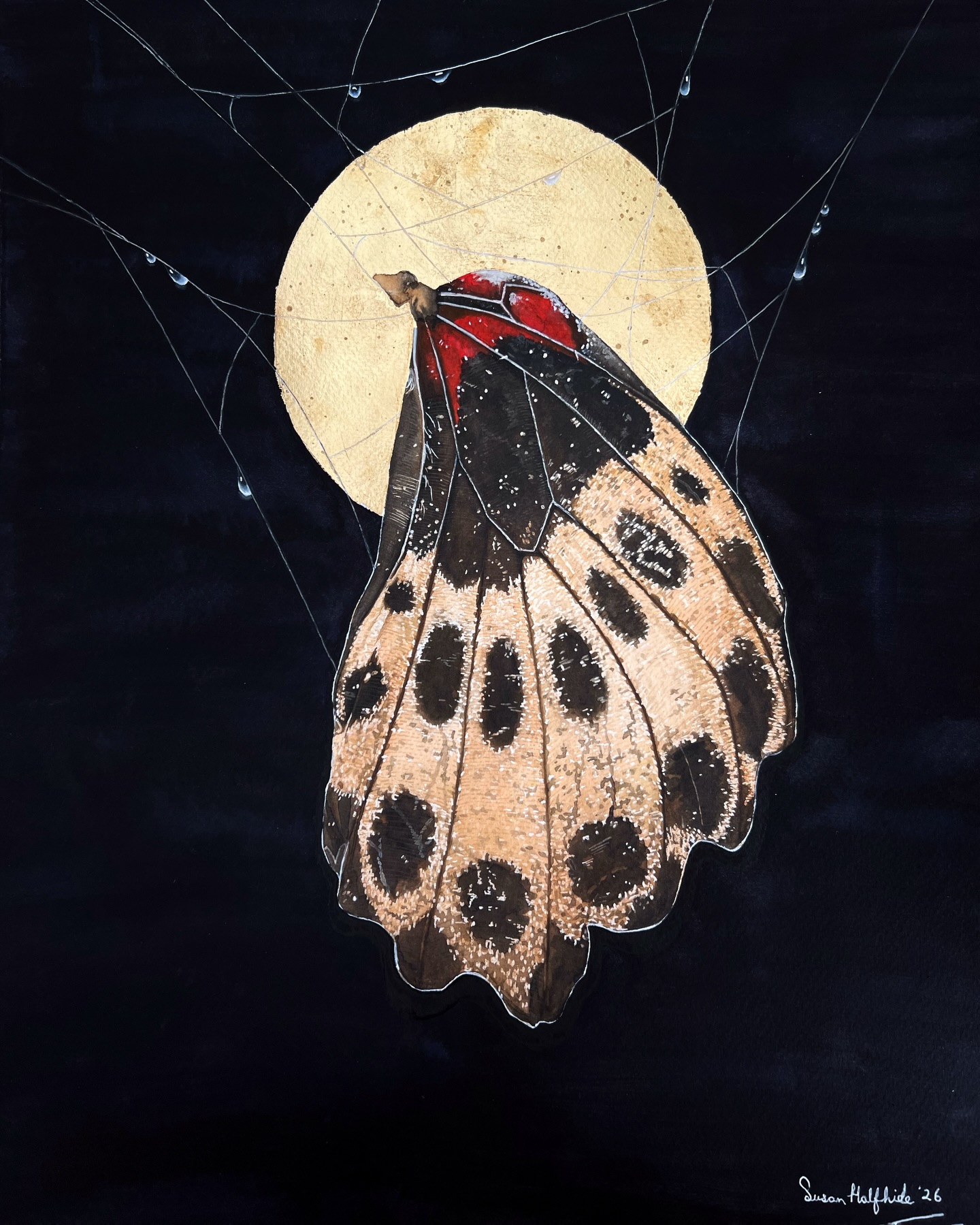 Treasure 2
Took multiple tries to get this one right! Watercolour can be forgiving if you know how to work with it!