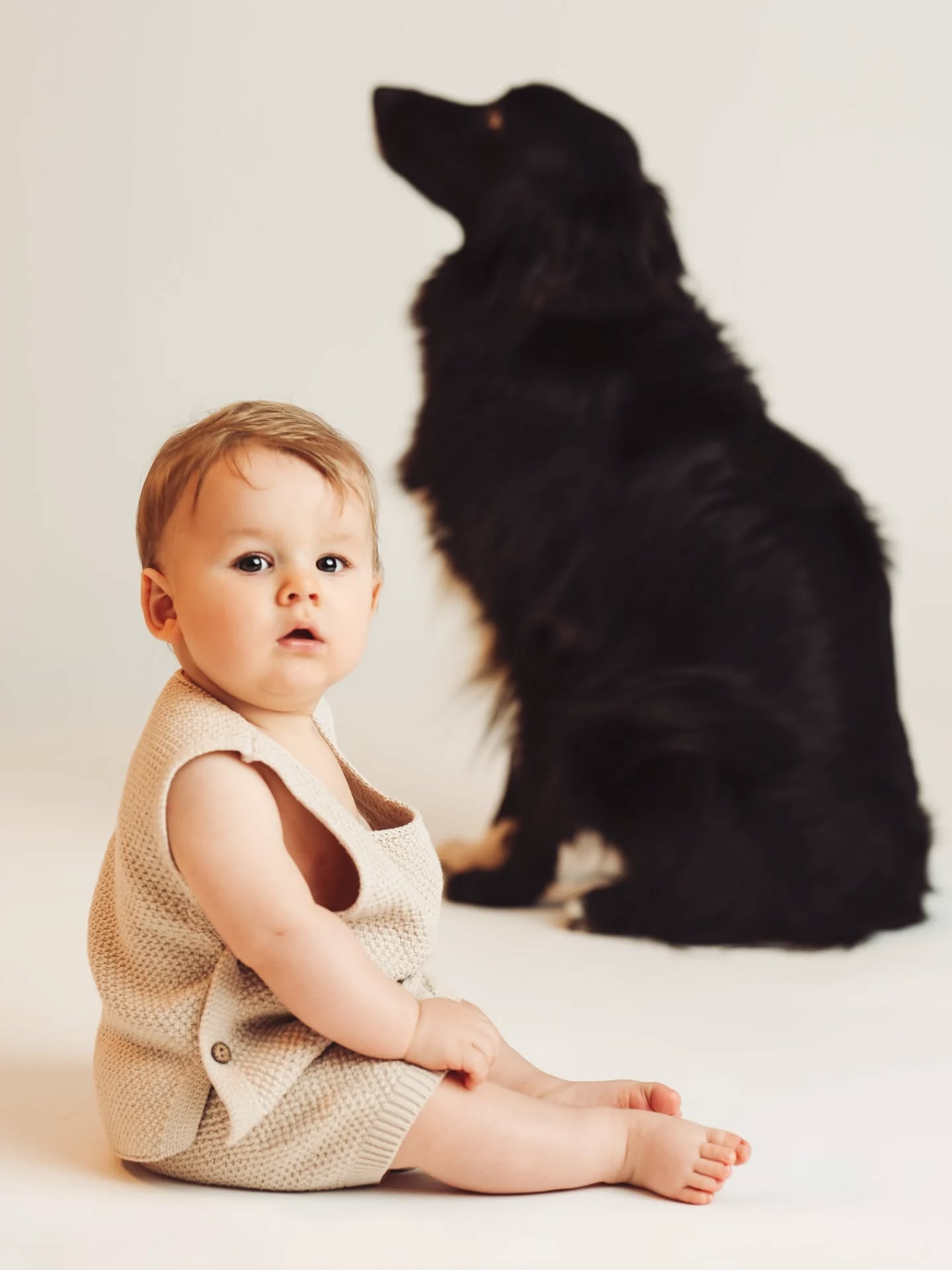 Vi ho già detto quanto amo le sessioni Bebè?
Si fanno quando i bambini hanno 7-10 mesi e le adoro perché si vede tutta la morbidezza e la dolcezza.
Brenno e Zampa e la loro meravigliosa famiglia. 🤍
#sitter #sittersession #luganofotografo #ticinophotographer #bebé
