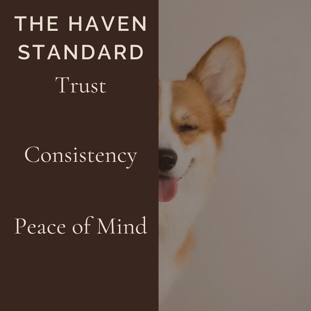 These values guide how we show up in every visit, every routine, and every home we step into.
This is the standard we hold ourselves to 🫶
#nashvillepetsitter #nashvillepetcare #nashvillepets