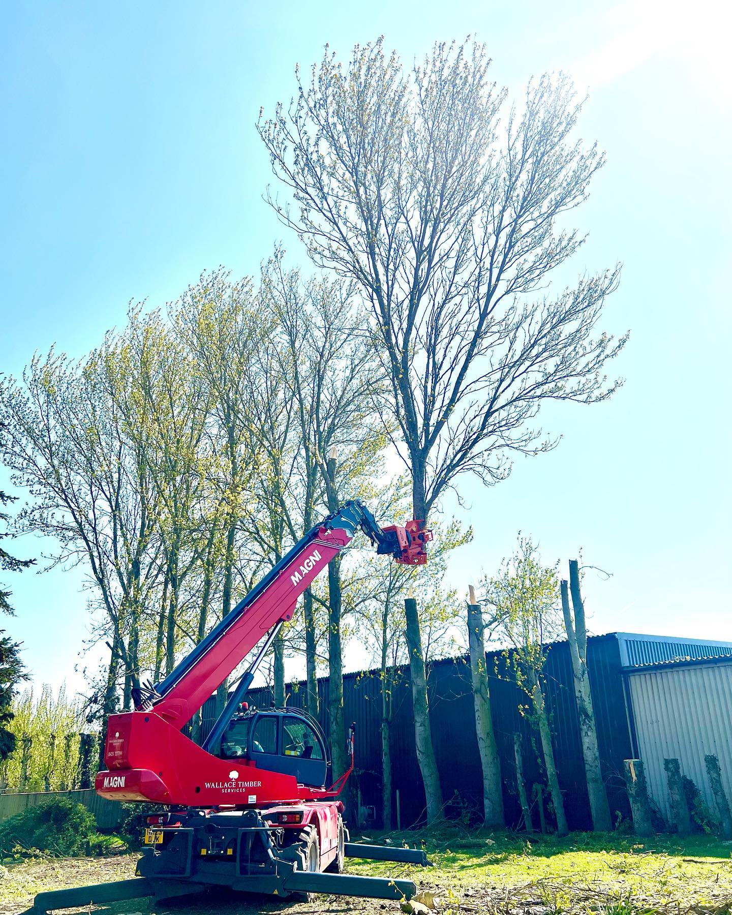 Magni… ‘The Arb Contractors King…!!’ 👑
Congratulations to His Majesty King Charles lll and Queen Camilla on this Coronation Day.
God Save The King
#mechanicaltreedismantling #grapplesawtruckcompany #grapplesawworld #magnifique #magni #wallacetimberservices #mechanisedarb #mechanisedarboriculture #woodcrackercs750 #compliance #timberhaulage #timberextraction @michaeljonescs @magnith_official @woodcracker_westtech