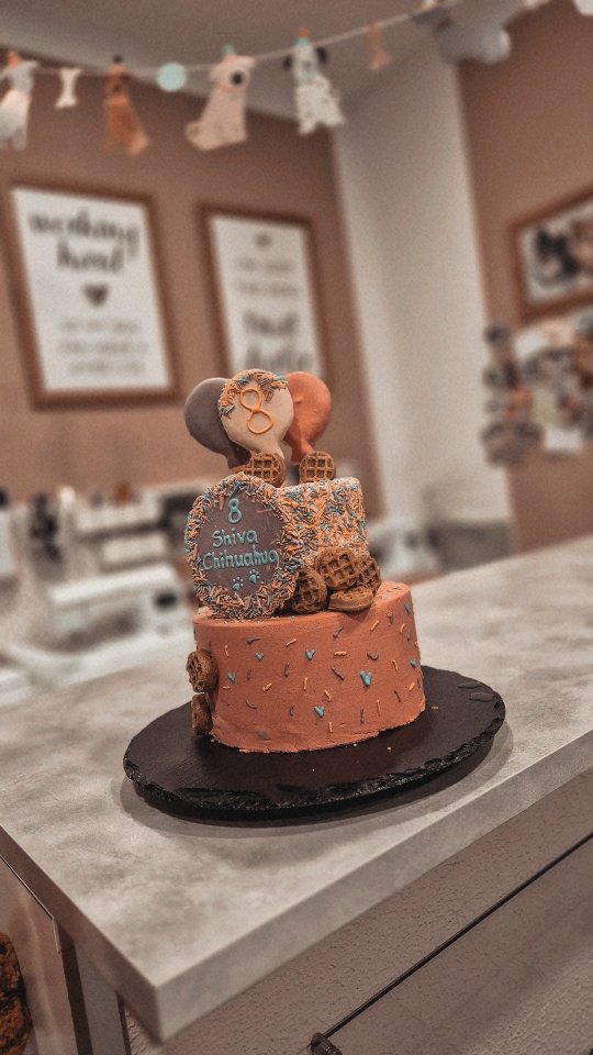 Danke an alle die uns besucht haben 🥹❤️🐶 wir freuen uns auf viele weitere Jahre mit euch 🥰