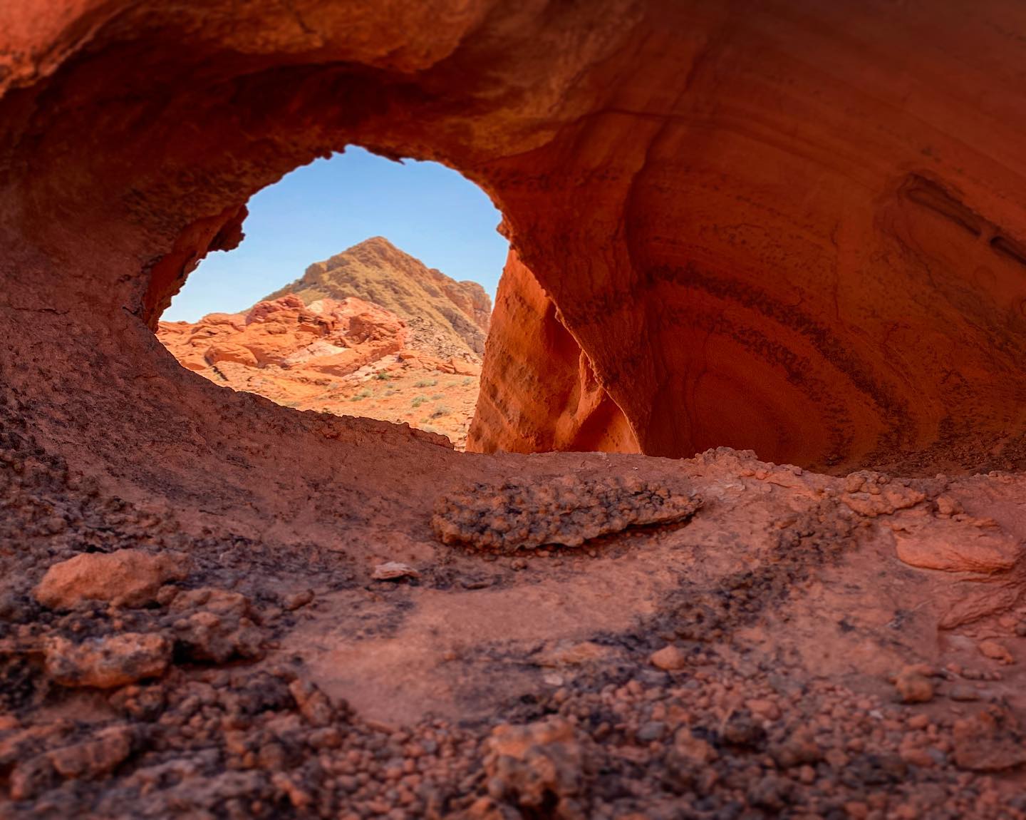These little “windows of texture” are some of my favorite things to discover while exploring Bowl of Fire, Lake Mead NRA.
.
.
.
.
#basecampnevada #nevadadesert #lakemead #lakemeadnps #nevada #hikenevada #homemeansnevada #TravelNevada #nvmag #ExploreNevada #naturalnevada #onlyinnv #howtonevada #puresw #nvadventure #westbysouthwest #igsouthwest #naturalnevada #americansouthwest #divine_deserts