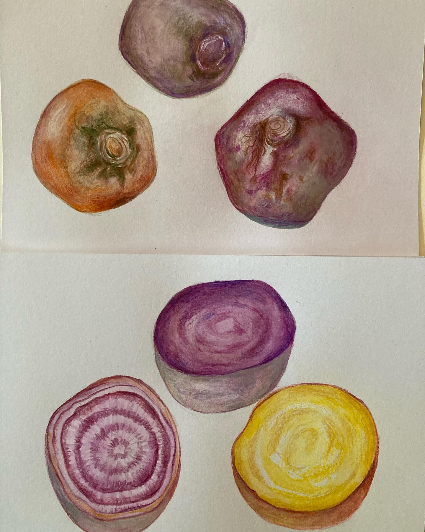 La betterave, selon la Diététique Chinoise!
Un dessin perso, ma recette préférée!
La betterave est de nature neutre, de saveur douce, de tropismes Terre. De par sa couleur rouge sang, elle va aussi avoir une action intéressante sur le sang, le Coeur et le système cardio-vasculaire.
Elle tonifie le QI (l’Energie), active la circulation du QI et du Sang, tonifie la Rate et le Coeur. Elle nourrit le Sang et traite l’anémie. Elle détend le Foie. Elle apaise le Cœur. Elle produit les liquides organiques et nourrit le Yin. Elle régularise les cycles et traite l’aménorrhée et les règles irrégulières.
Elle lubrifie les intestins.
De par sa couleur et son pigment naturel rouge vif, sous le nom de betalaïne, elle serait un des aliments les plus riches en antioxydants, juste après les épinards, les choux de Bruxelles et le chou kale.
Ayant un fort taux de nitrates, elle aurait une action intéressante pour faire baisser la tension artérielle.
Elle pourrait aussi améliorer les performances athlètes (car de saveur douce tonifiante et aussi pas son action de bien faire circuler le sang!).
Ma recette préférée: Le gravlax de saumon, coloré et parfumé par la betterave!
#betterave #betteraves #chioggia #gravlax #gravlaxalabetterave #bienfaits #antioxydants #santénaturelle #medecinechinoise #dietetiquechinoise #mtc #madreperlamtc