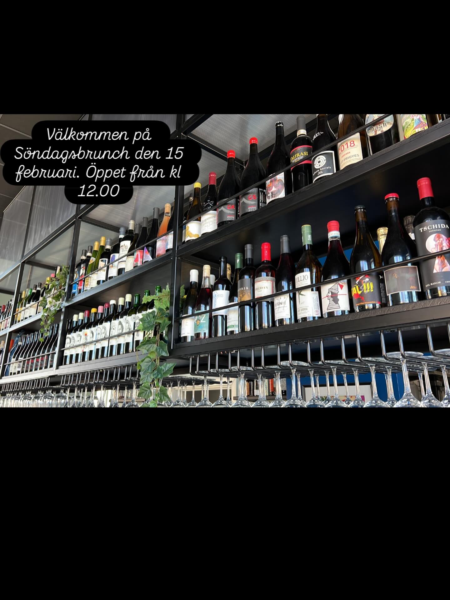 Kärleksfesten fortsätter på Vinarium ❤️
Gårdagen må ha handlat om par, men den 15 februari firar vi den mest stabila relationen vi vet: kärleken till riktigt god mat och dryck.
Vi korkar upp våra favoriter och bjuder in till söndagsbrunch. Ingen dejt- inga problem! Kom solo eller ta med bästa kompisgänget!
Som alltid är fyrbenta älsklingar välkomna🐕
Öppet från 12.00 till sent.