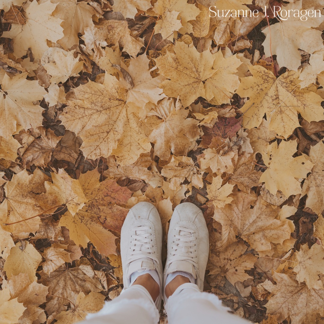 As Fall begins, let’s follow the example of the trees as they let go of leaves they no longer need in order to prepare themselves for the season to come. What do you need to let go of this month?