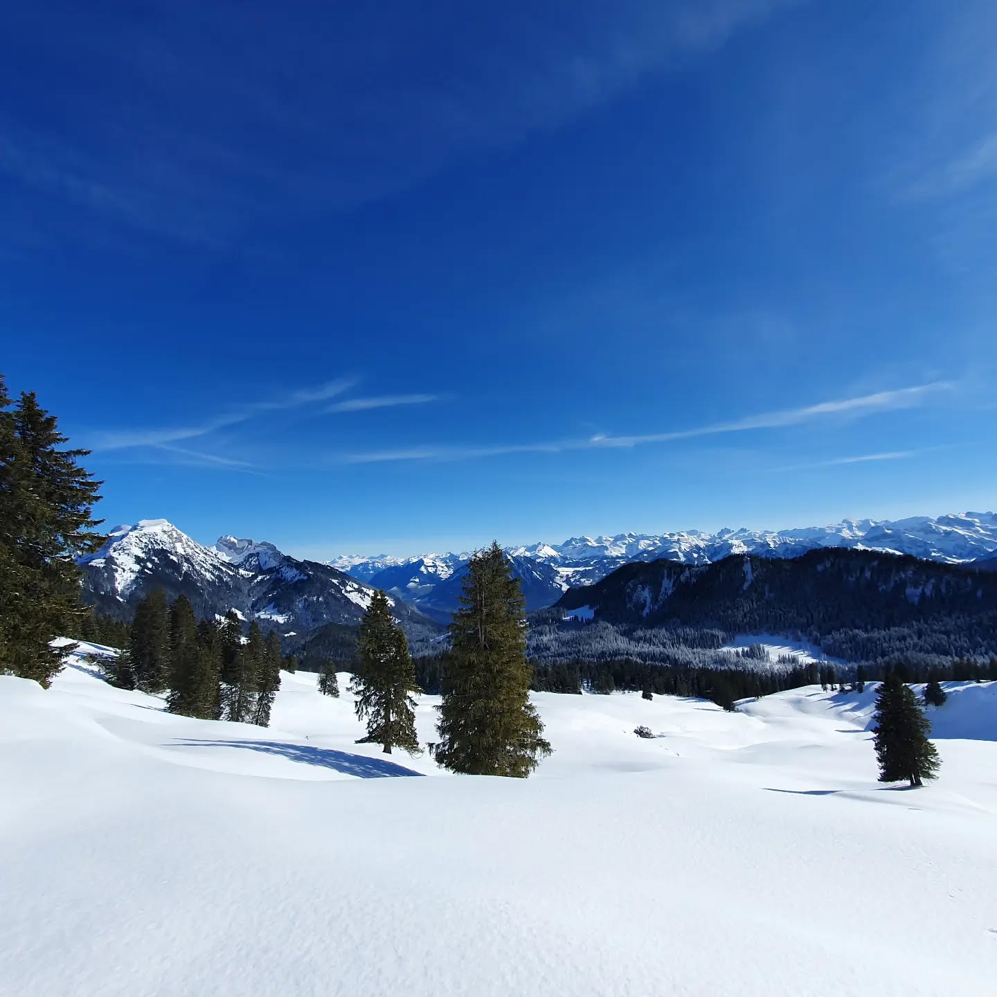 Älggäu First
