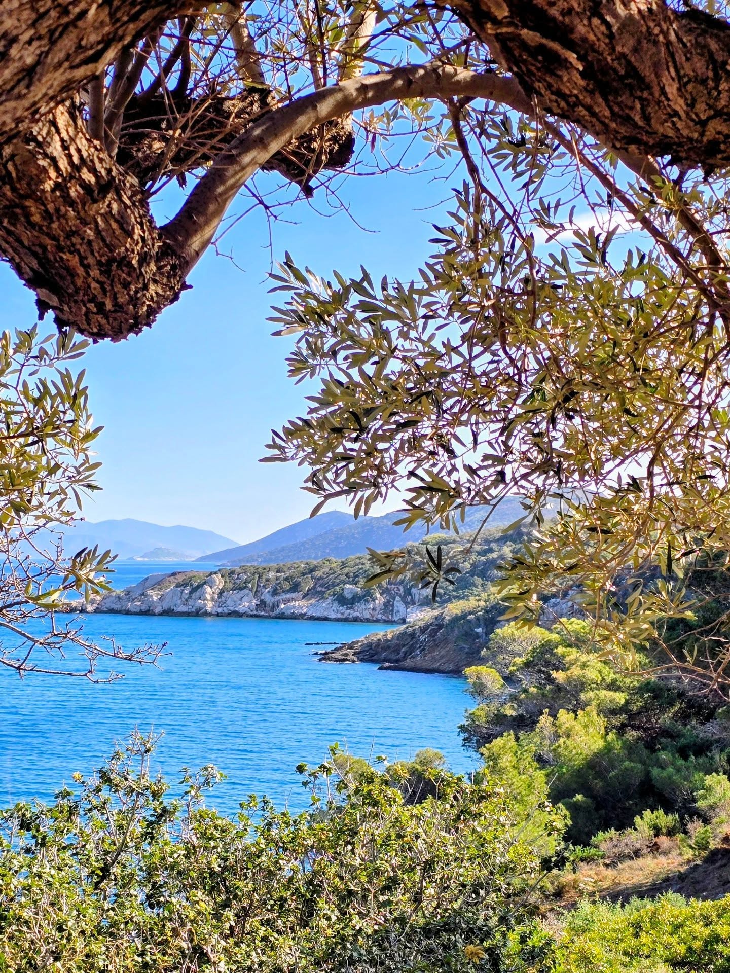 The Halcyon Days are in full swing in Athens 🌼❤️🌿
.
Yesterday we hiked, went for the first swim of the year and had lunch at one of my favourite spots—the place where our signature Nefeli Nine retreat comes to life. A perfect blend of hiking, yoga, and moments that restore the soul.
We’ve got a couple of spots left for the next retreat season. Keen for a nature-filled reset? DM to claim yours and join us in the great outdoors. 🌿🏞️🧘♀️
Tag a friend you’d love to bring along.
.
.
.
.
.
.
.
.
.
.
#NefeliNine #HalcyonDays #YogaInNature #HikingAndYoga #RetreatWithUs MindfulTravel