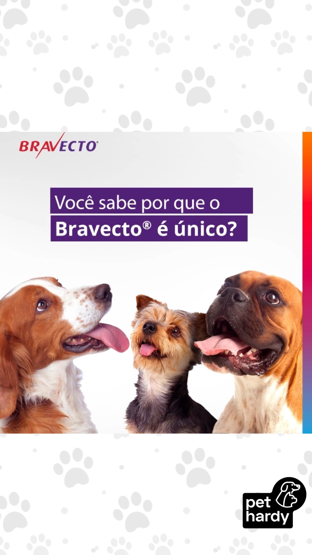 Vem buscar o seu aqui na Pet Hardy ou peça no conforto da sua casa que entregamos e deixe seu pet blindado para a diversão! 🐾👇
Pet Hardy | Clínica Veterinária e Pet Shop 📍 Av. Miruna, 272 - Indianópolis - São Paulo/SP 📲 (11) 91346-6234
#PetHardy #Bravecto #SaudePet #ProtecaoTotal #Vira-lata #DogLovers #Indianopolis #CuidadoComAmor #ZootecniaComAmor