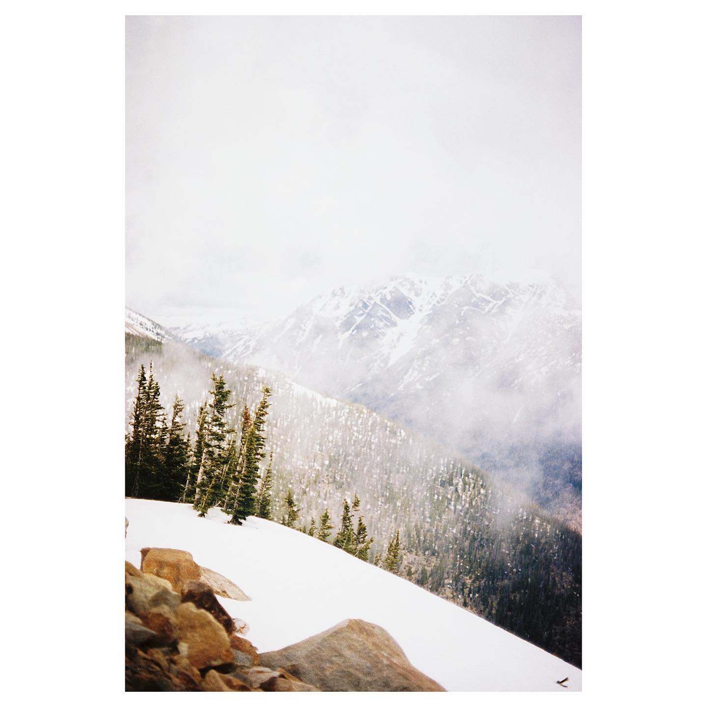 @ rainbow curve
📷: canon ae-1 / kodak portra 400
#ae1 #35mm #canon #canonae1 #portra400 #kodak #kodakportra400