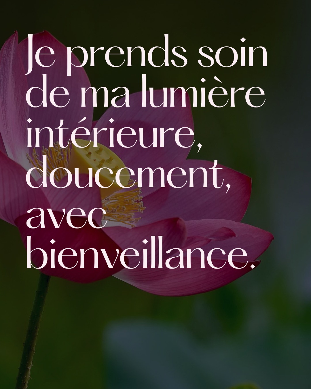 La vitalité intérieure est cultivée avec douceur et présence, chaque geste devenant un soin pour le corps et l’esprit.
//
Inner vitality is nurtured gently, each action becoming an act of care for body and mind.
#innerlight #selfcare #bienetre #holistichealth #mindfulness #montrealwellness #slowwellness #vitality