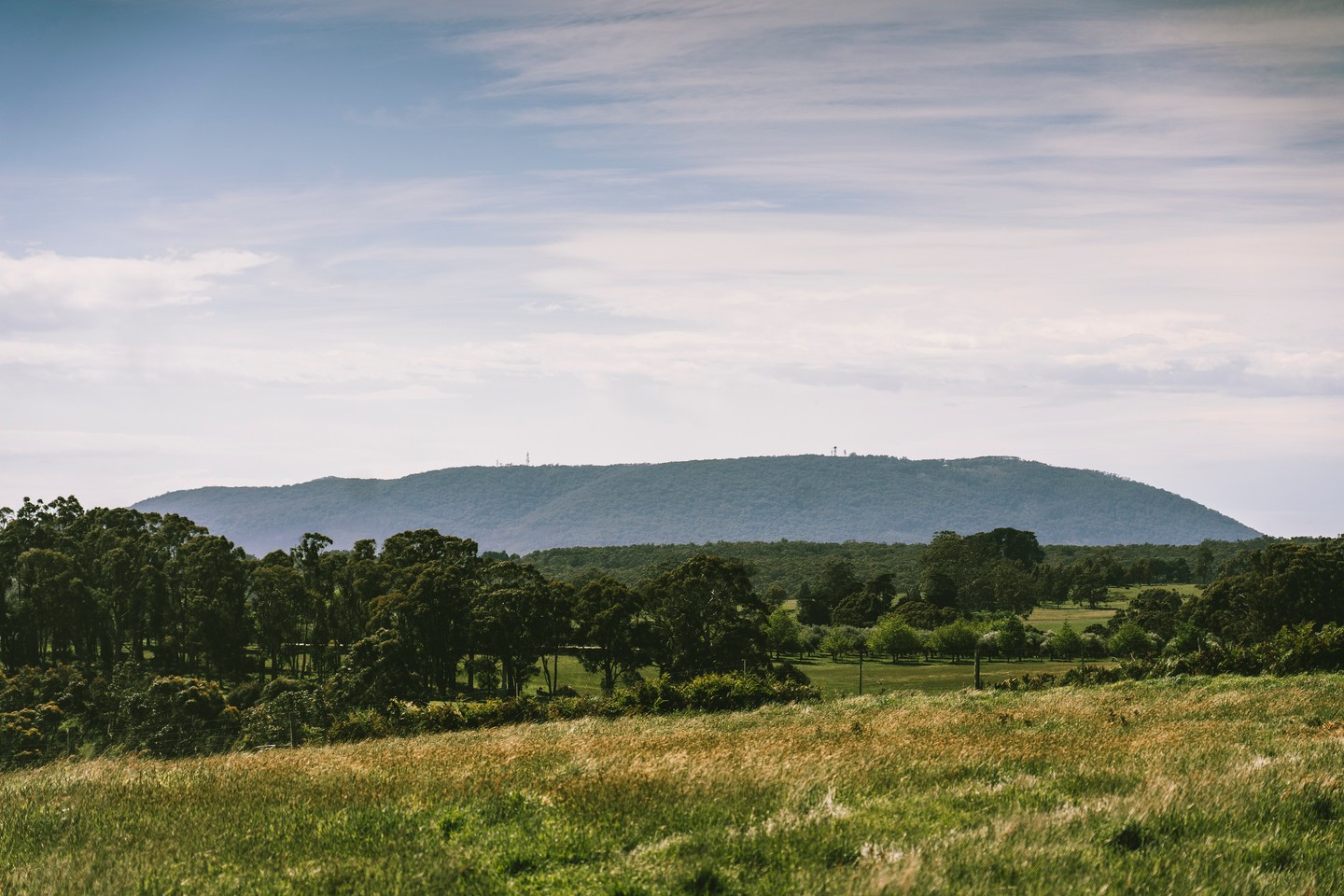 Farmland in the Macedon Ranges often spans diverse terrain and property sizes, each with unique challenges, such as invasive weeds or overgrown vegetation.
Our services, which include tailored strategies such as precise spraying, mulching, or root-level treatments, significantly improve the maintenance of productive and healthy land. Whether you have a smaller acreage or a larger pastoral block, Mountain View Contracting offers services designed to address the specific needs of properties throughout Central Victoria.
.
.
.
.
.
#mountainviewcontracting #mvcontracting #earthworks #gisborne #macedonranges #ballarat #mitchellshire #creswick #daylesford #trentham #glenlyon #ashbourne #tylden #lyonville #hepburnshire #mtalexandershire #harcourt #castlemaine #maldon #woodend #lancefield