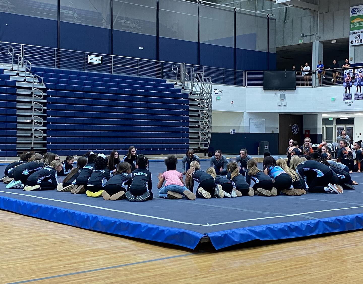 🩵Platinum Pride Night💜
-
You all showed up and showed out to support not only Platinum, but your favorite local high school gymnasts last night! A special shout-out to the MCHS gymnastics team for hosting their annual Platinum Pride Night and for recognizing our competitive athletes as well as including them in their march-in! #PlatinumPride #OneCityOnePack