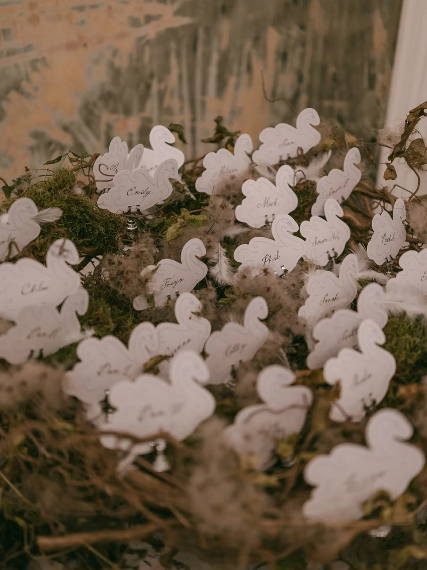 Swans in their nest 🦢 An escort card display thoughtfully imagined by James @eventsbyjames, card design by me.
Emily + Simon's suppliers
@eventsbyjames
@philippasianphotography
@flowerandpress
@mapleandrae
@old_sessions_house
@letticeevents
@optionsgreathire
#oldsessionshouse
#swanstationery
#WeddingInspo