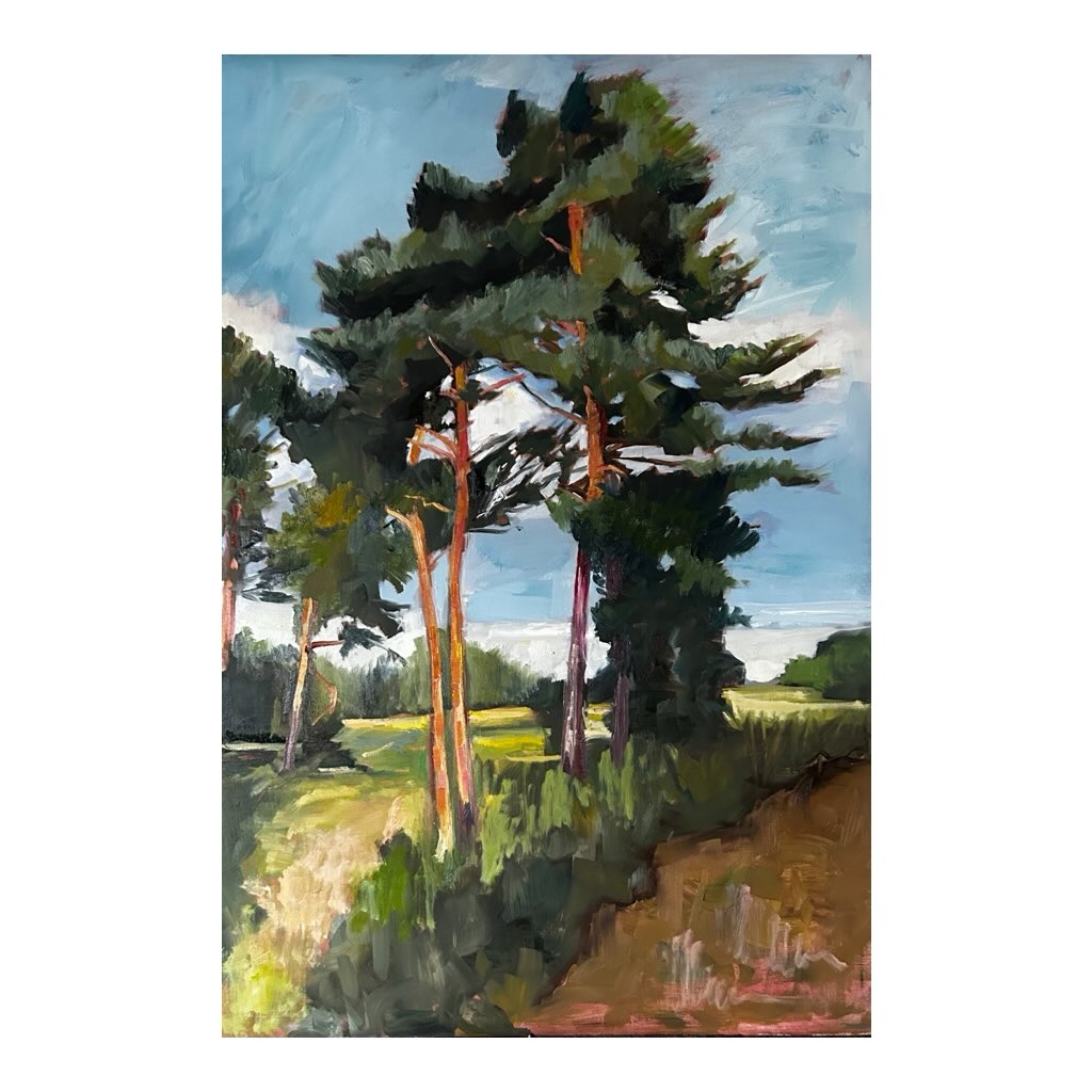 Working on some larger work inspired by my plein air of Suffolk pine trees. Such dull days at the moment it’s hard to see in the light. So much rain.
#suffolkpines #suffolkcounty #suffolkcountryside #oilpainting #suffolklandscapes