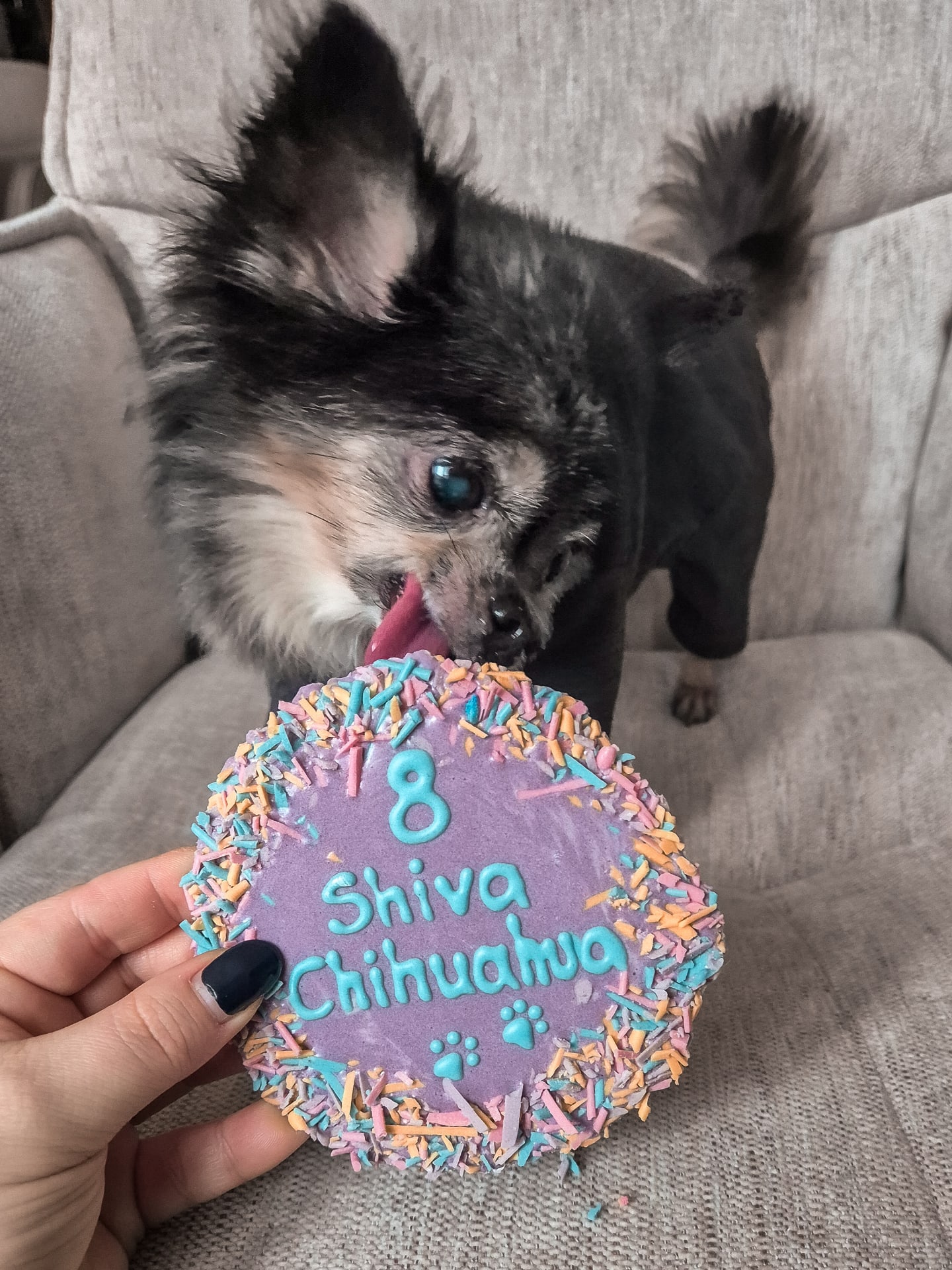 CEO Shiva bedankt sich ebenfalls für 8 wunderschöne Jahre mit euch 🤍😍