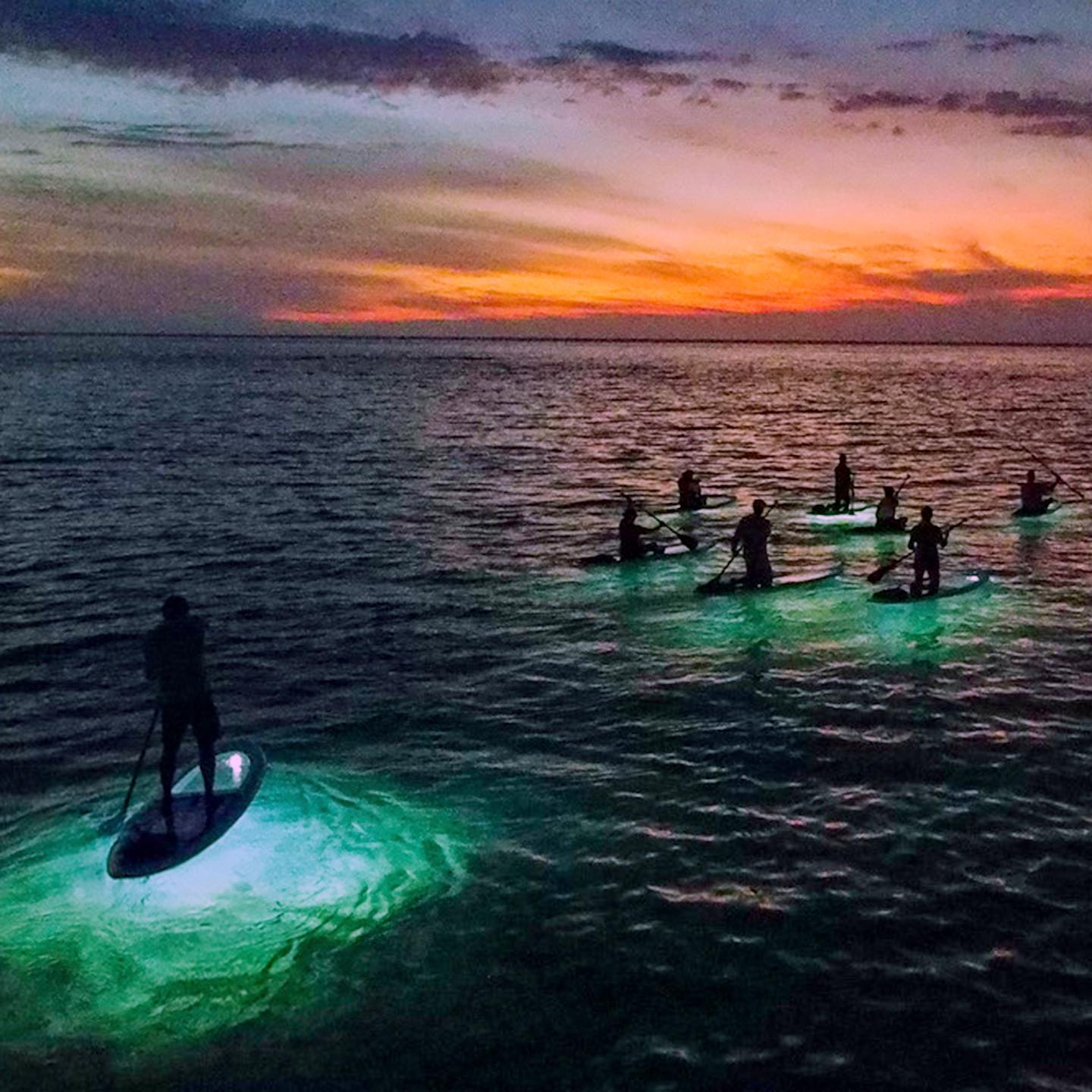 WARNING Sunset glow from above and coral reef glow from below causes internal glow that lasts all night in paradise 🙌🏽🤙🏽💚