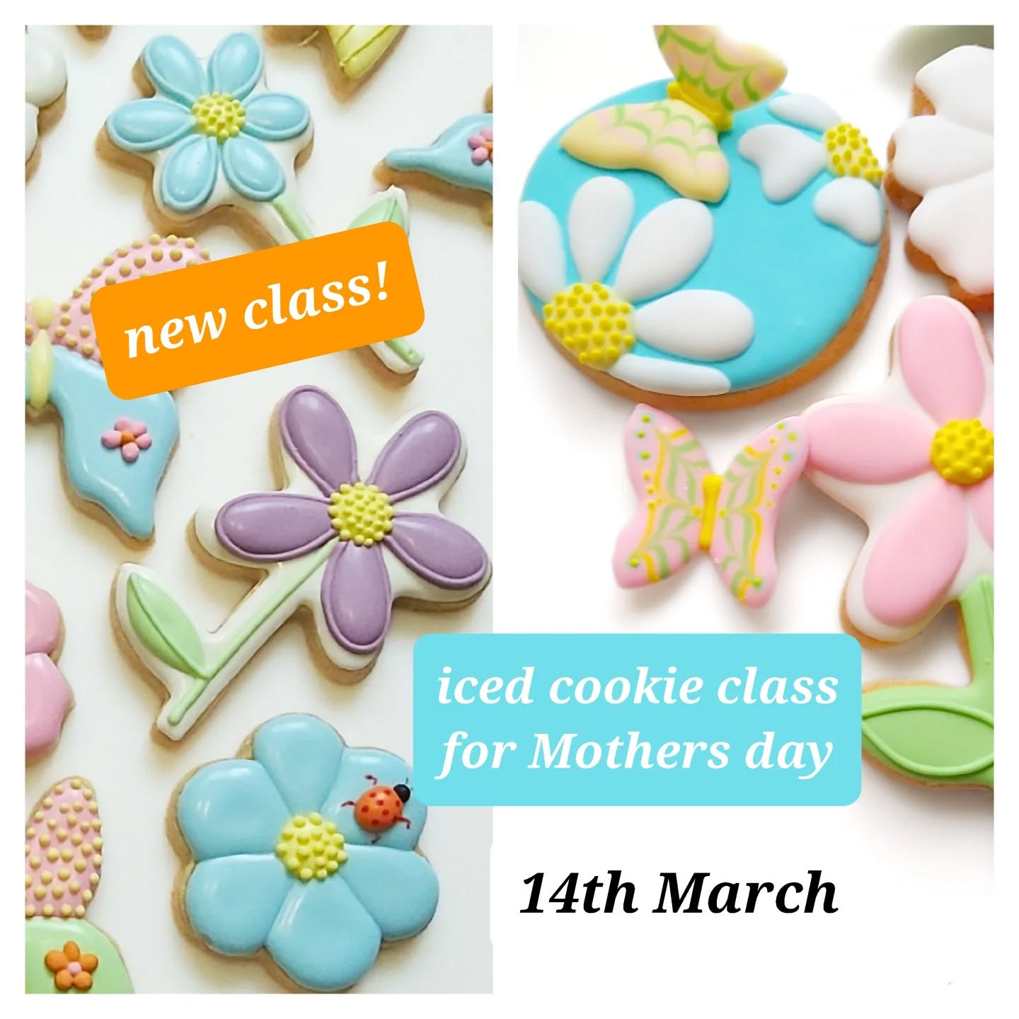 Come and join me at @themakery_gah in Winsley for my Icing masterclass. A relaxing day, a cream tea, and take home a beautiful box of iced Biscuits and some new skills!
#icingart #mothersday #cookieclass #winsley #giftsformothersday