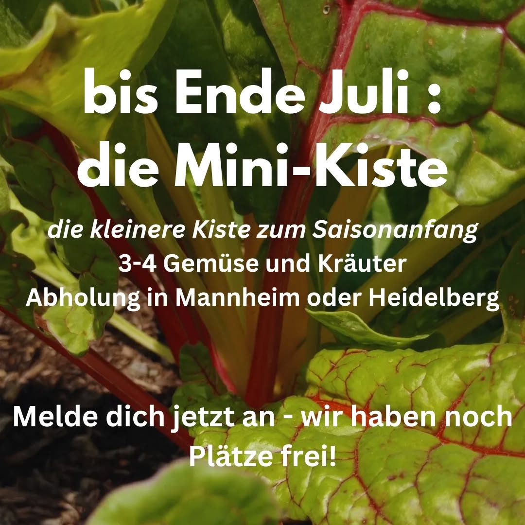 Hallo ihr Lieben, ihr könnt euch noch für die Mini-Kiste anmelden! 🥬🍓
Der Vertrag steht jetzt auf unserer Webseite- einfach ausfüllen und per Email zurückschicken! 💚