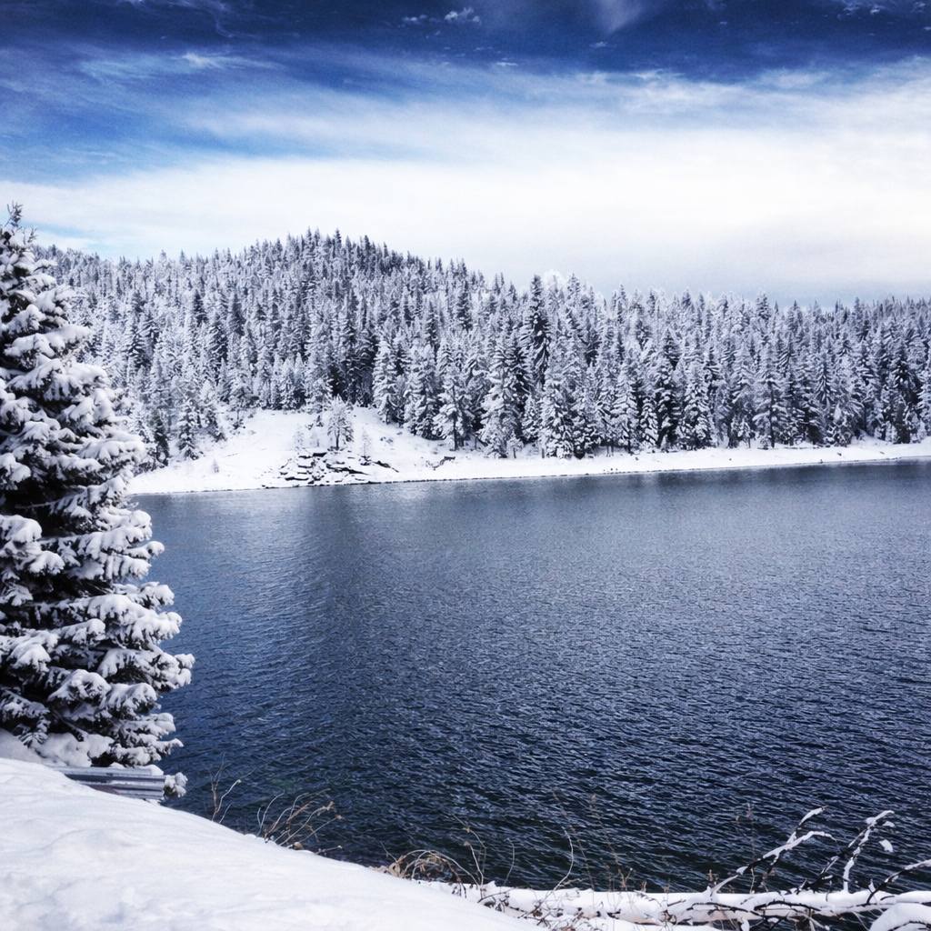 Waking up to fresh snow feels like the world hit “reset.” ❄️🤍
Coffee tastes better. The views feel bigger, and everything just feels better. ☕️🏔️✨
Follow along with us as another wave of snow begins to fall… and book a stay!- www.thecabinhost.com
👉️The Latest from @skichinapeak
Tuesday, February 17, 8 AM ... The best way to follow this storm is the China Peak webcams, four good views of the mountain from top to bottom.
24-30 inches so far, snowing hard again at 8 AM with several feet of snow over the next 72 hours. We will give you plenty of updates over this storm period, at least a few times each day. We'll be ready to roll Thursday morning with lifts and lots of snow, with updates on Wednesday afternoon.
We are open five days a week 9AM-4PM Thursday-Monday all season.