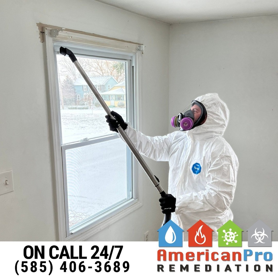 🔥 Soot may settle, but we don’t stop until it’s gone!
After a fire, soot can linger on walls, ceilings, and surfaces, leaving behind stains, odors, and health hazards. At American Pro Remediation, we specialize in comprehensive soot cleanup to restore your space and ensure it’s safe for you and your family.
🔹 Thorough Surface Cleaning: Removing soot and residue from every affected area.
🔹 Air Quality Improvement: Tackling odors and airborne particles for a cleaner, healthier environment.
🔹 Restoration Expertise: Bringing your property back to its pre-damage condition.
Soot doesn’t just make a mess — it can cause long-term damage if not properly addressed. Let the pros handle it with care and precision. 🏠✨
📞 Call us today for expert soot cleanup and fire restoration services!
#SootCleanup #FireDamageRestoration #PropertyRestoration #AirQualityMatters #DisasterRecovery #IICRC #AmericanProRemediation #TrustThePros #SafeRestoration