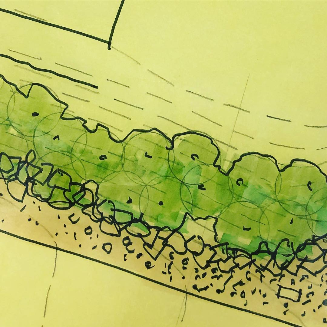 Conceptual design...first step is always on old school trace paper! #oclandscape #landscapearchitecture #pentopaper