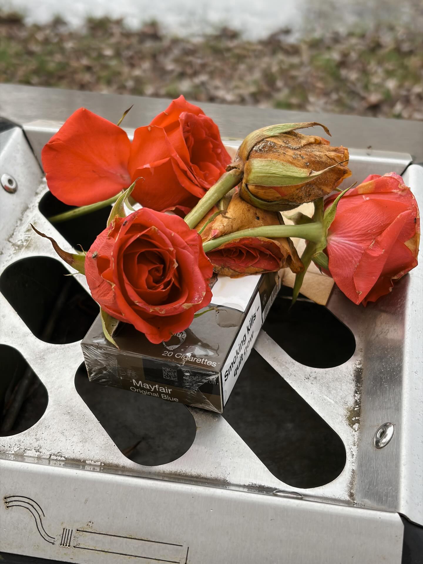 took a psych quiz and honestly Indiana Jones is one of the only fictional men I’ll take being compared to,, but I’ll be channelling my inner Trinity in the underground bars of prague this winter 🐈⬛🖤 as for the others well one can only wish to become a pirate king or lone survivor of the nostromo 🛸
•
•
•
•
•
•
#writer #writingabook #authorofinstagram #writing
#writingcommunityofinstagram